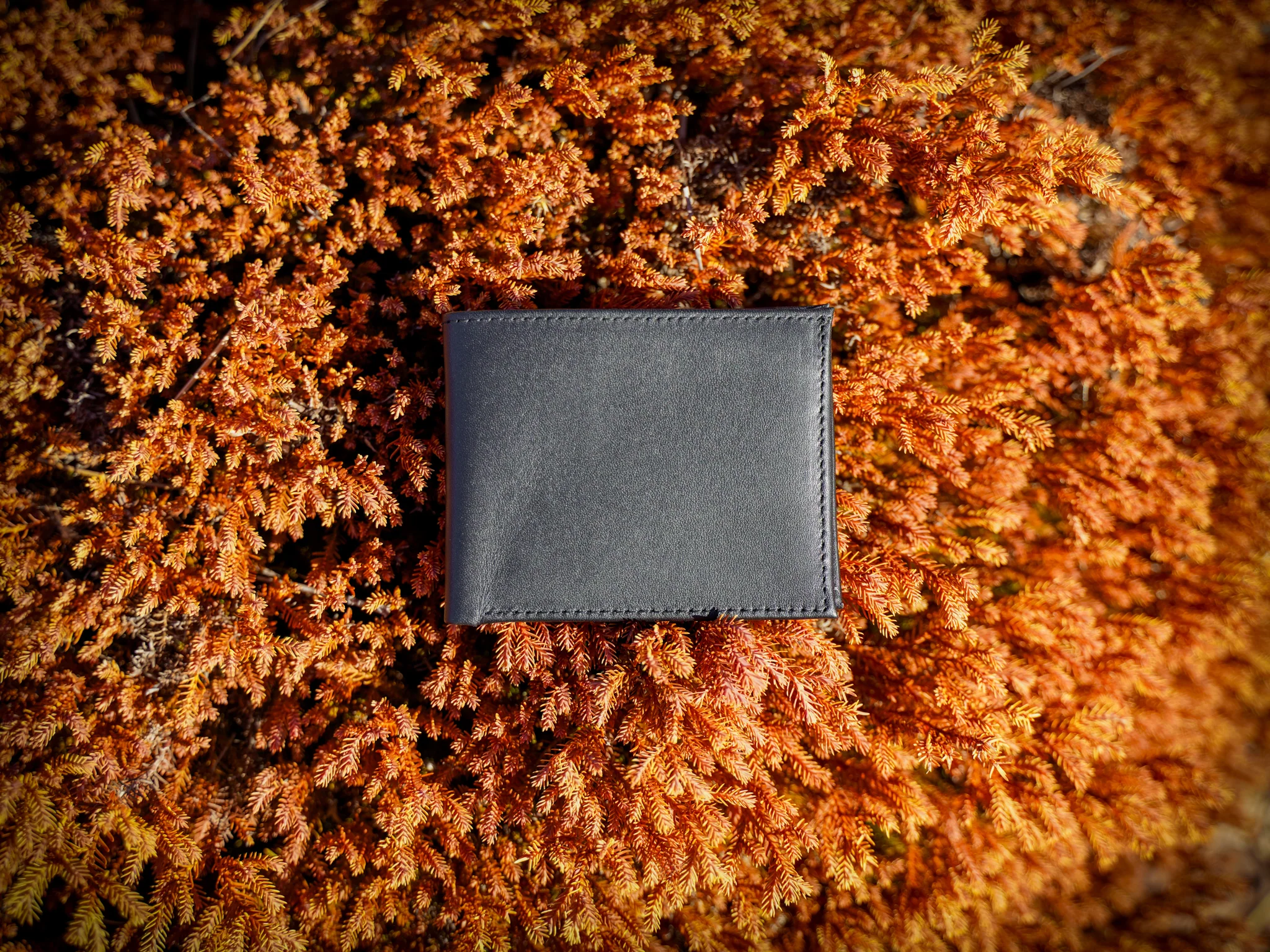 Classic Leather Bifold Wallet - Black - Image 2