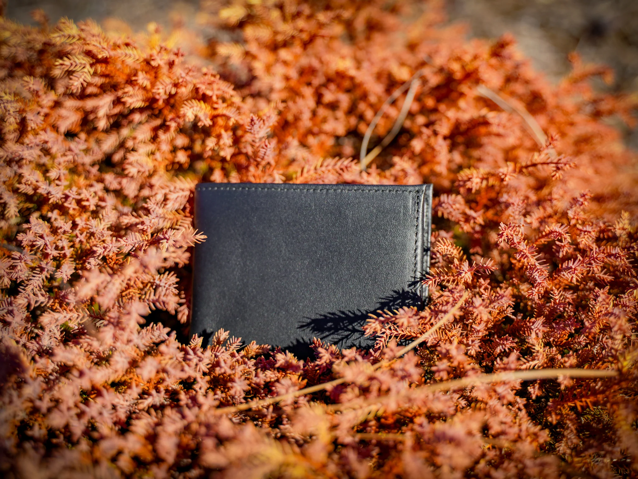 Classic Leather Bifold Wallet - Black - Image 5