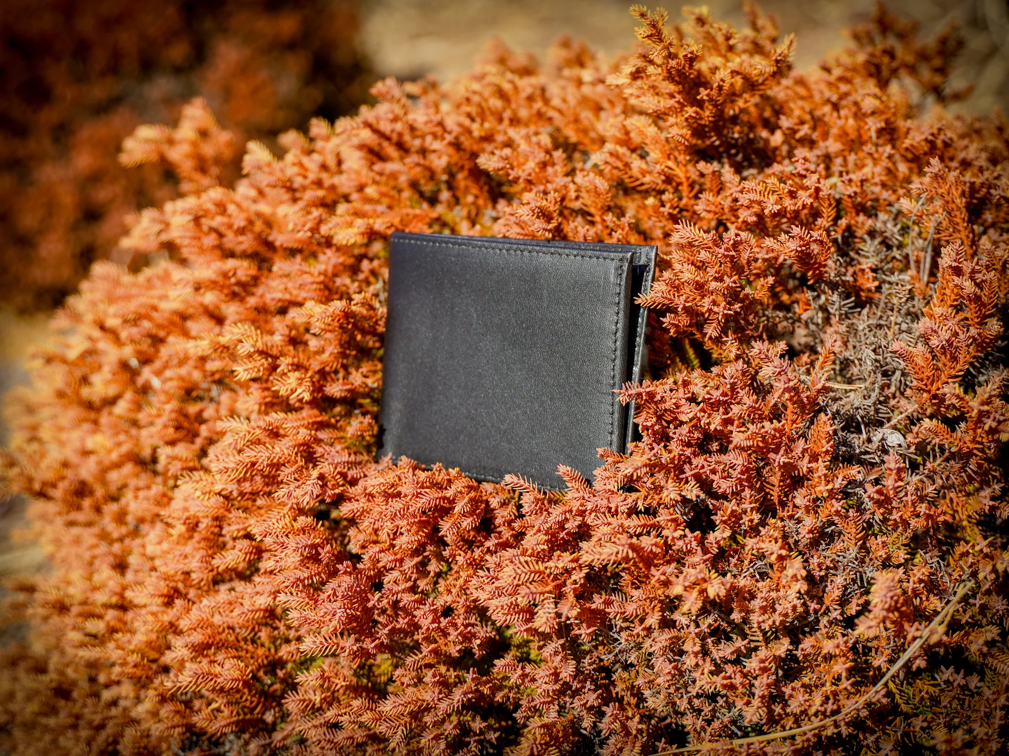 Classic Leather Bifold Wallet - Black - Image 6