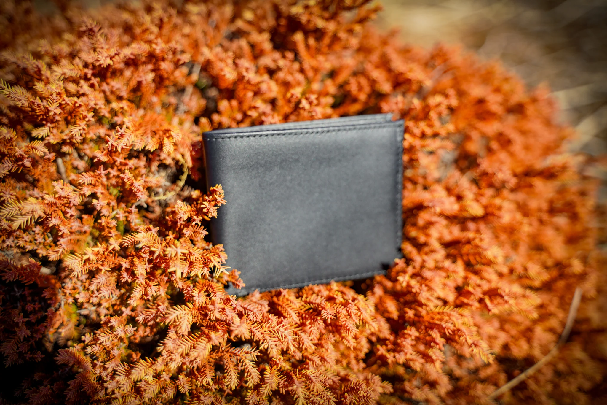 Classic Leather Bifold Wallet - Black - Image 7