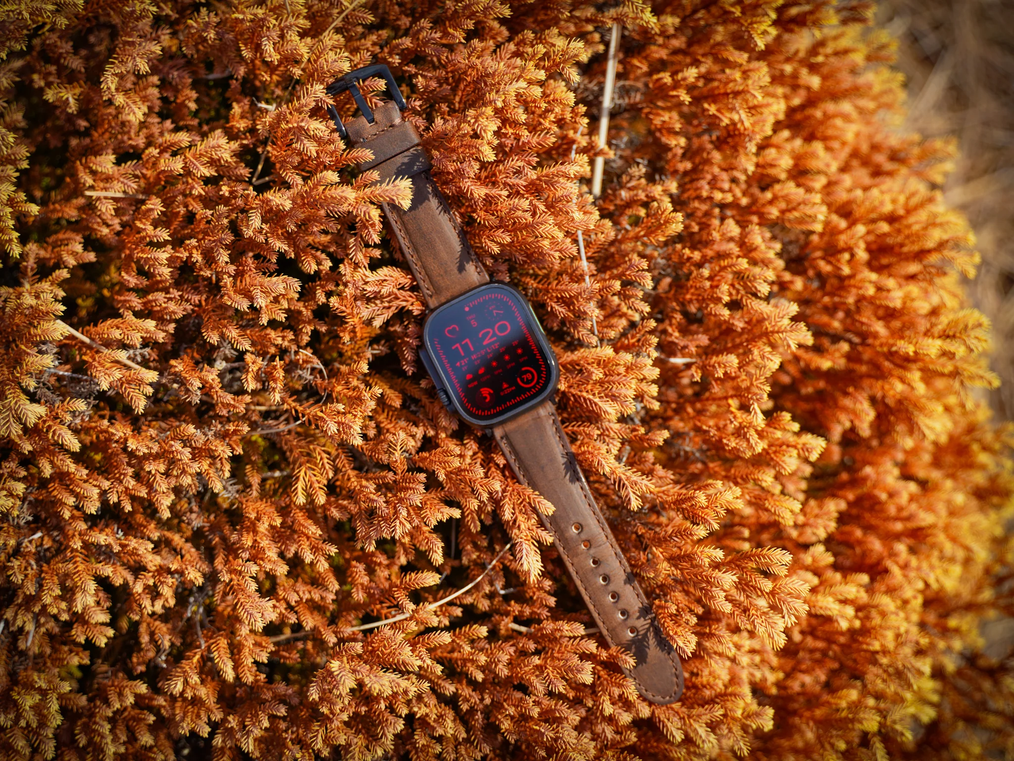 Crazy Horse Leather Apple Watch Band - Brown - Image 3
