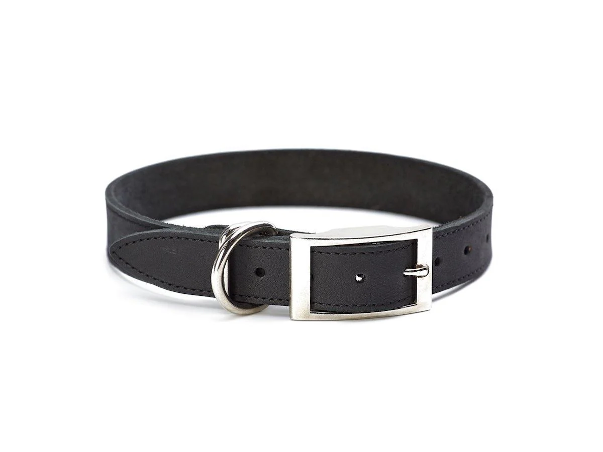 Crazy Horse Leather Dog Collar - Black - Image 2