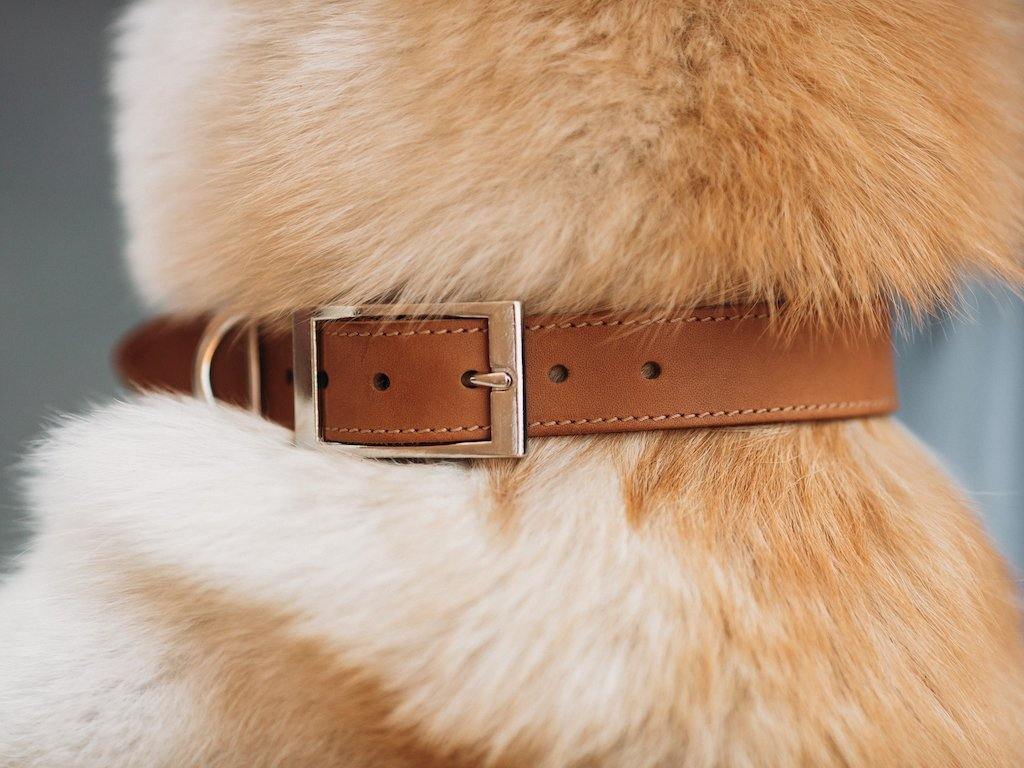 Crazy Horse Leather Dog Collar - Wheat - Image 5