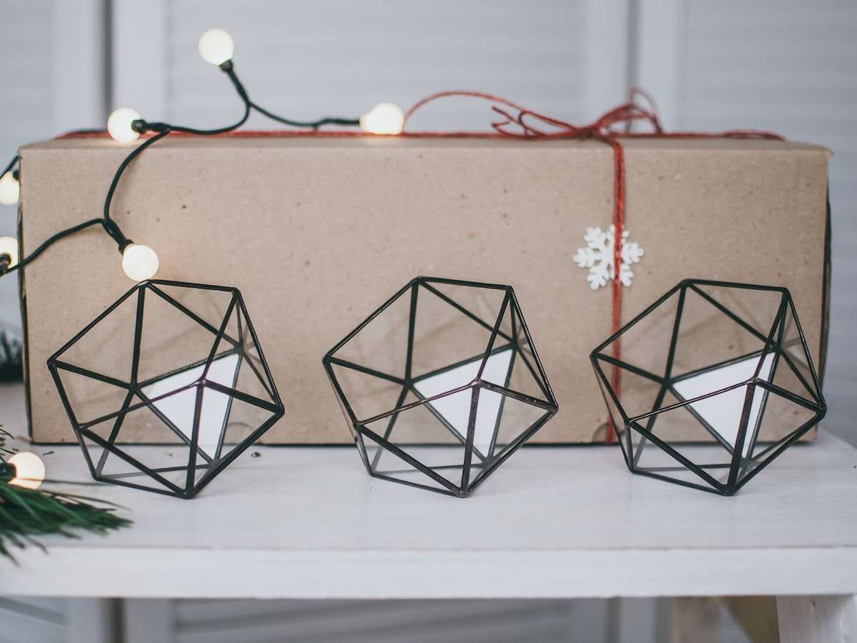 Geometric Terrarium Icosahedron Mini - Image 2