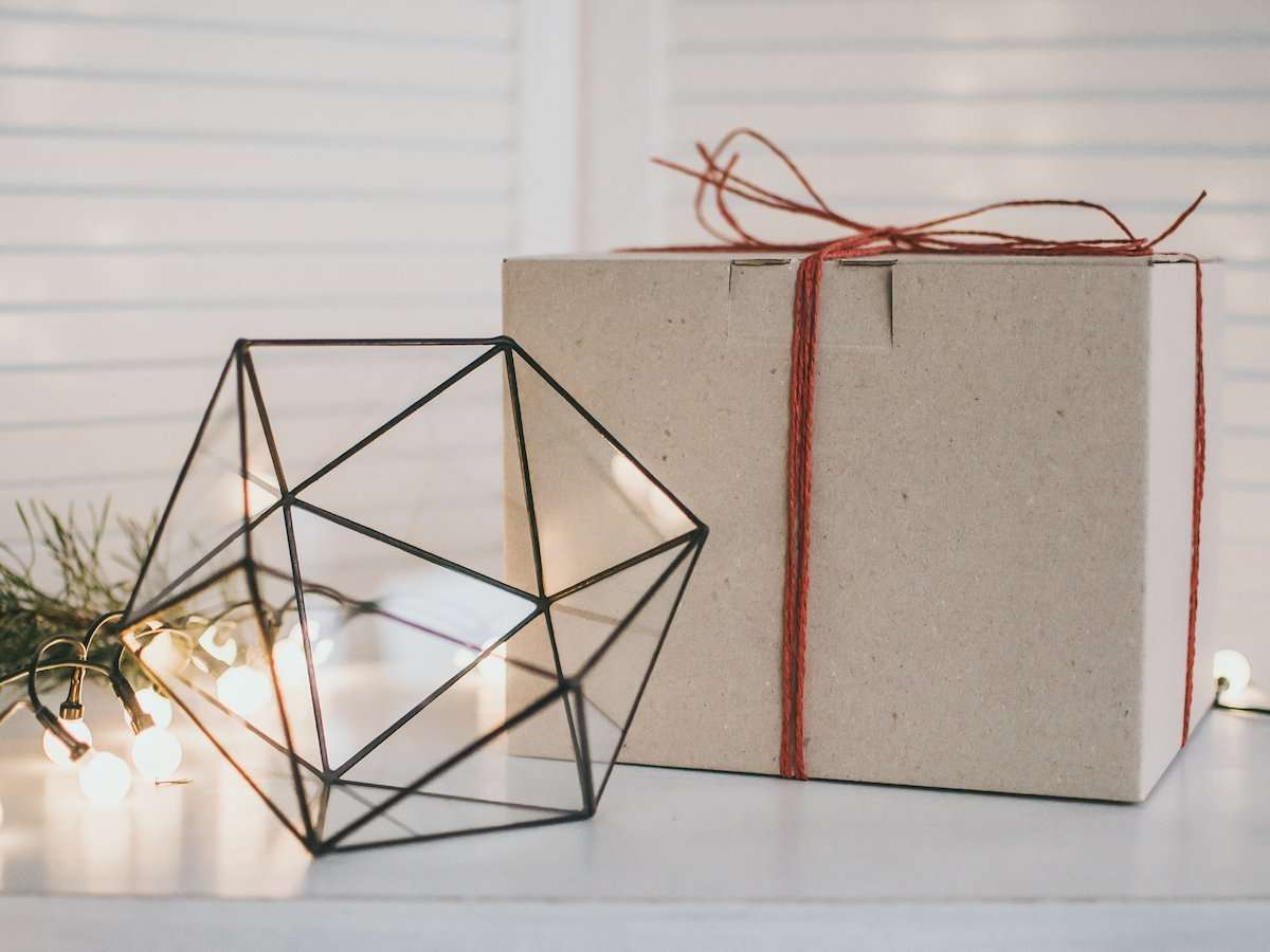 Geometric Terrarium Icosahedron Mini - Image 3