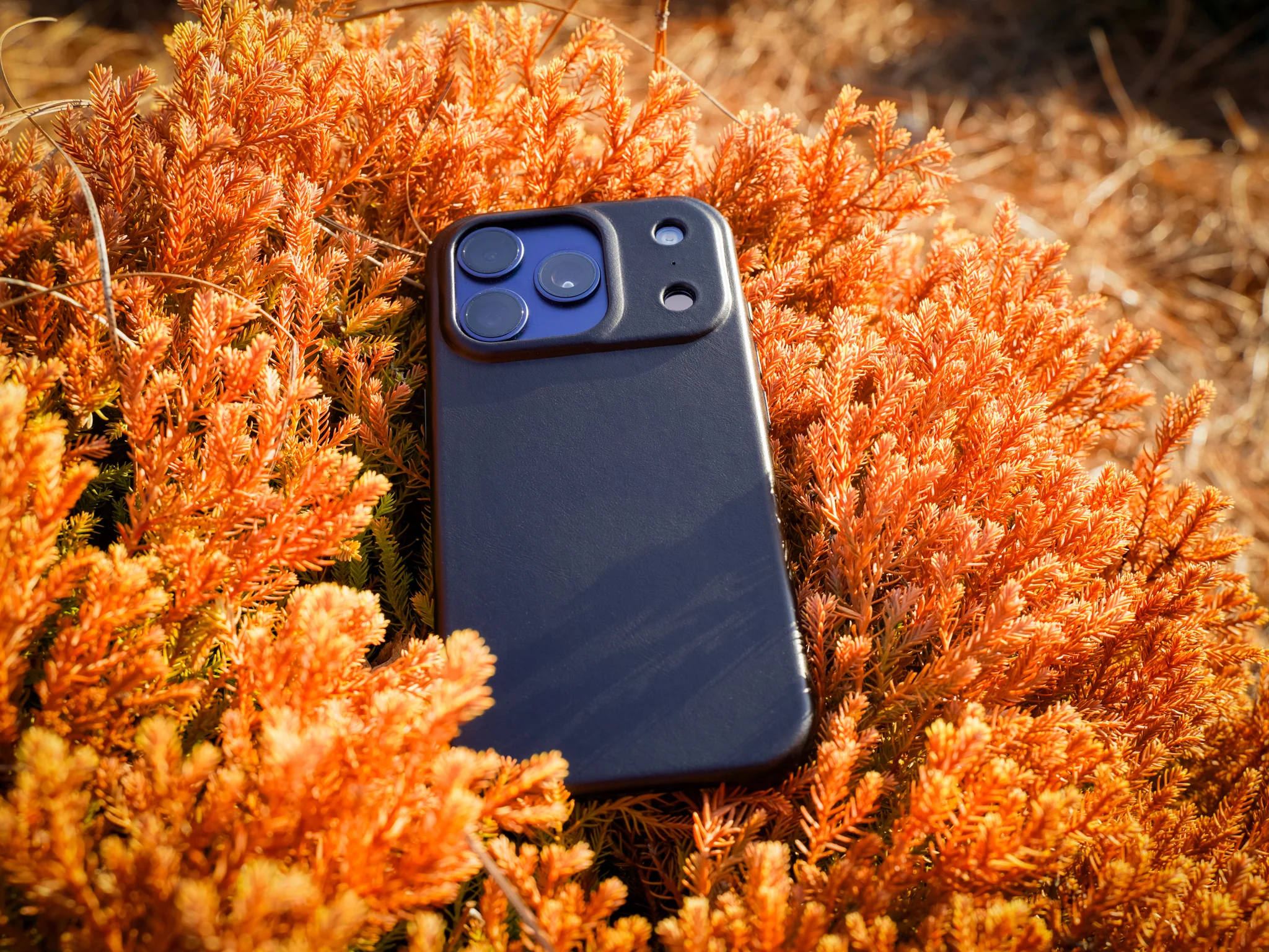 iPhone 17 Leather Case - Black - Image 2