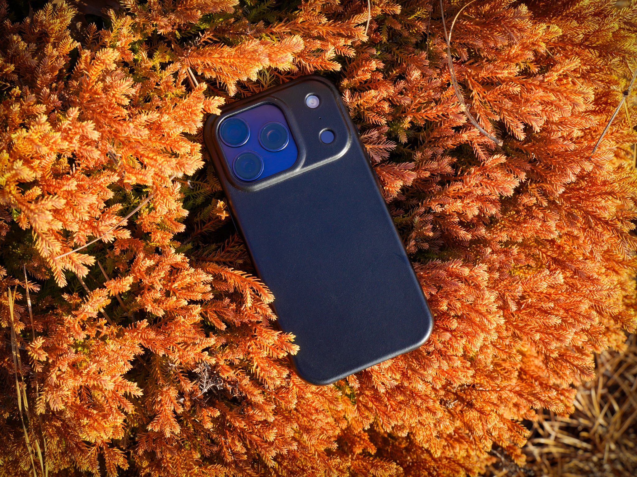 iPhone 17 Leather Case - Black - Image 4