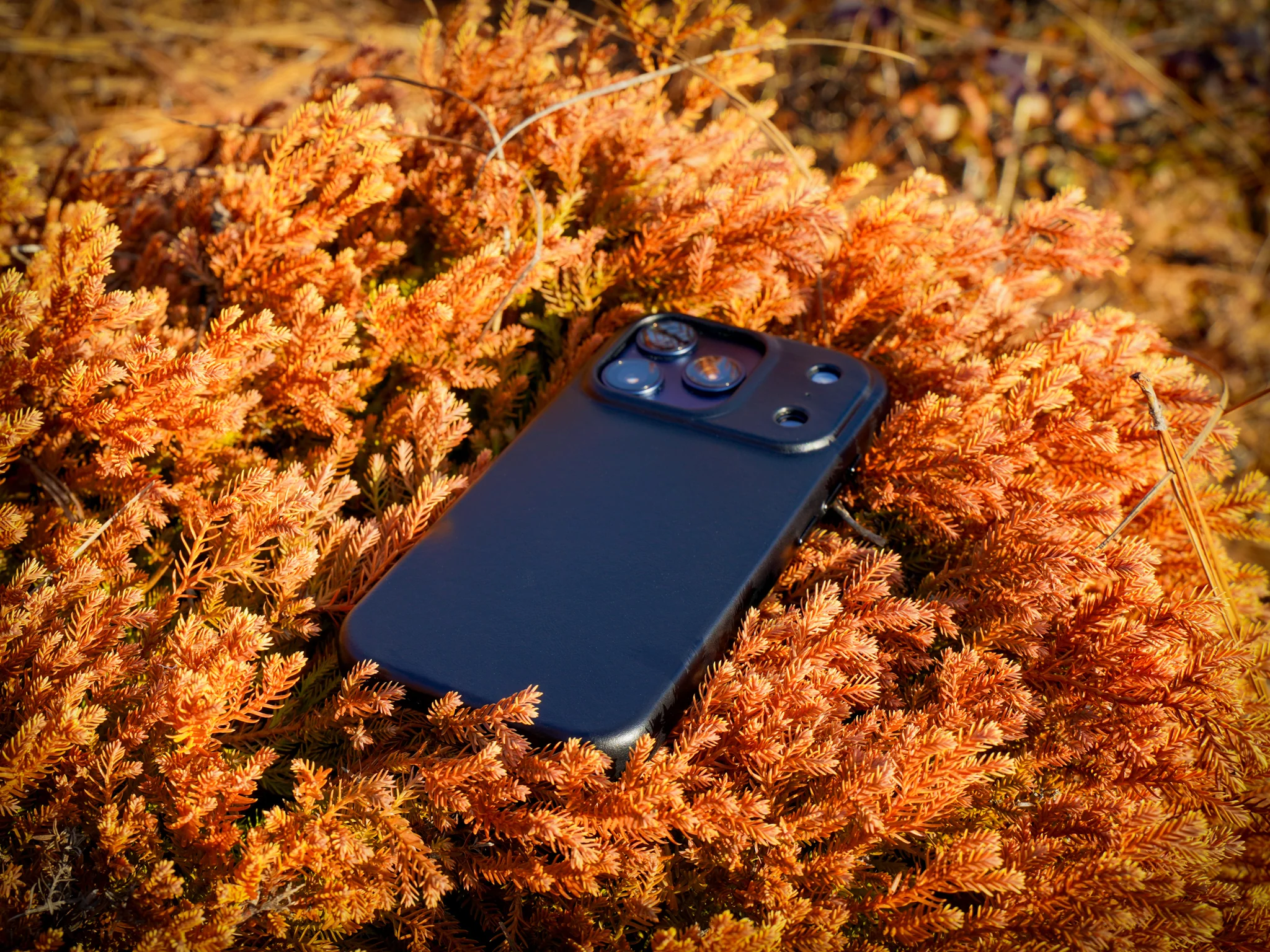 iPhone 17 Leather Case - Black - Image 5