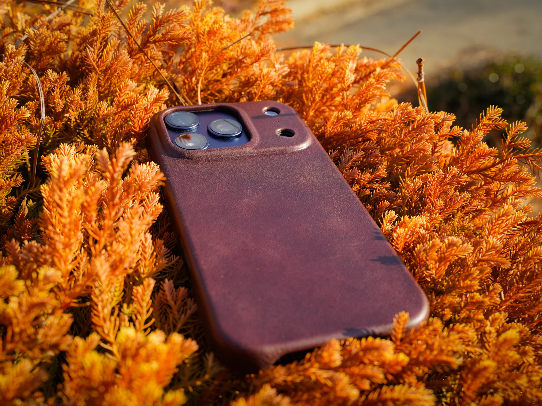iPhone 17 Leather Case - Dark Brown - Image 2