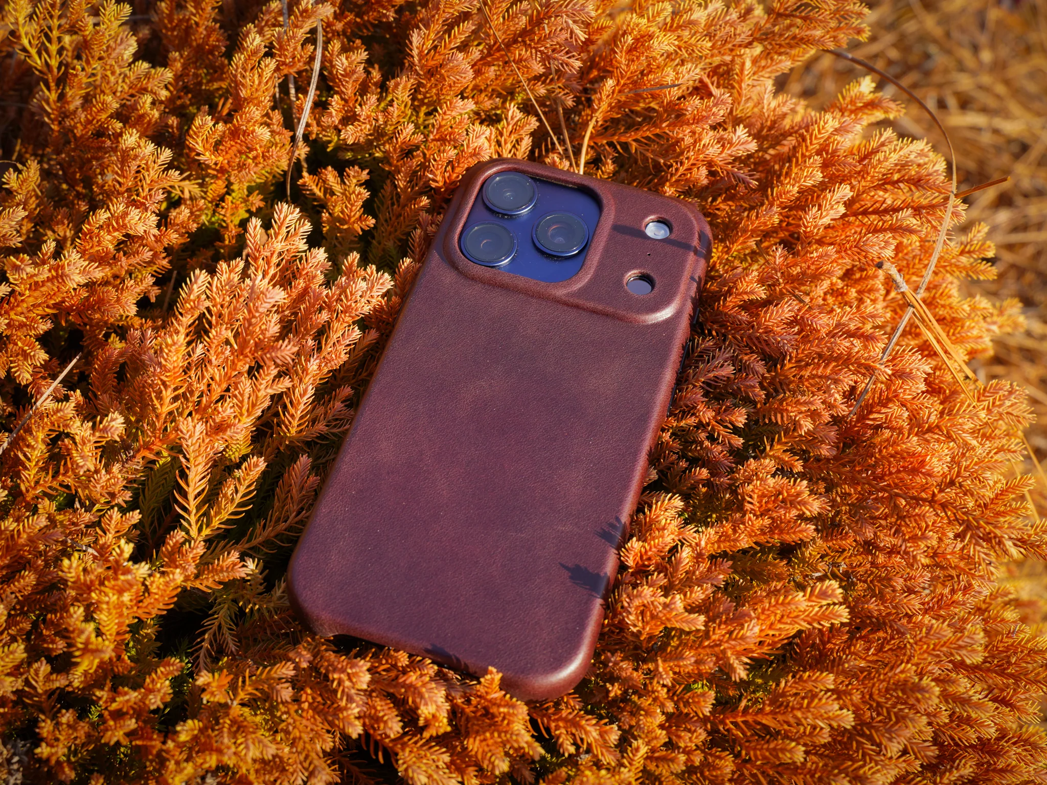 iPhone 17 Leather Case - Dark Brown - Image 3