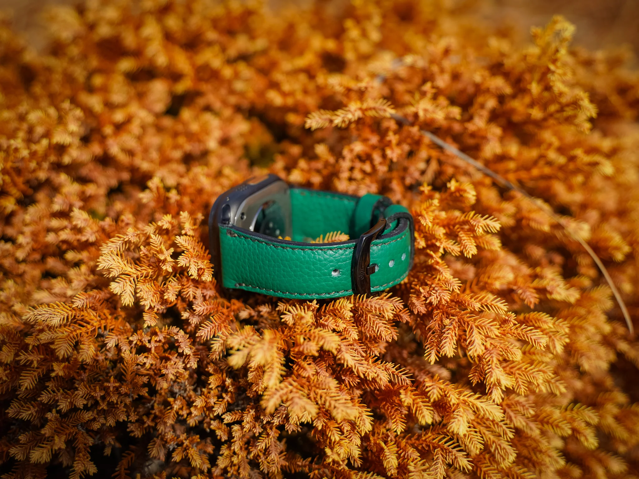 Italian Leather Apple Watch Band - Bus Green