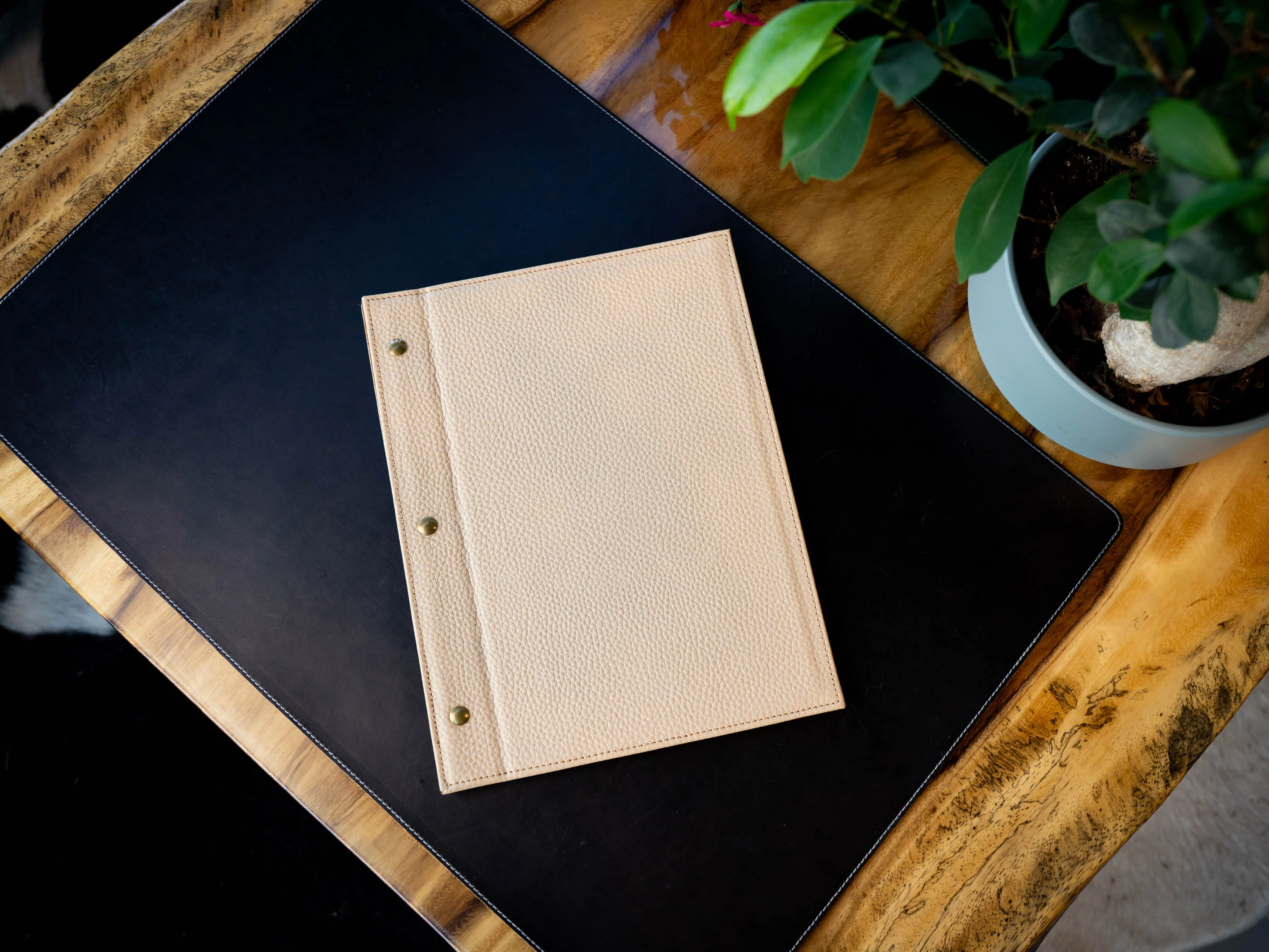 Italian Leather Menu with Chicago Screws - Cream - Image 4