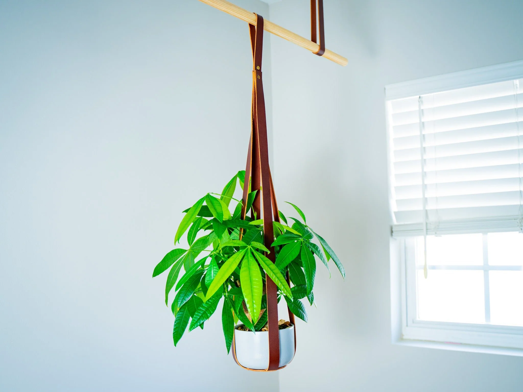 Leather Flower Pot Hanger - Chestnut - Image 2