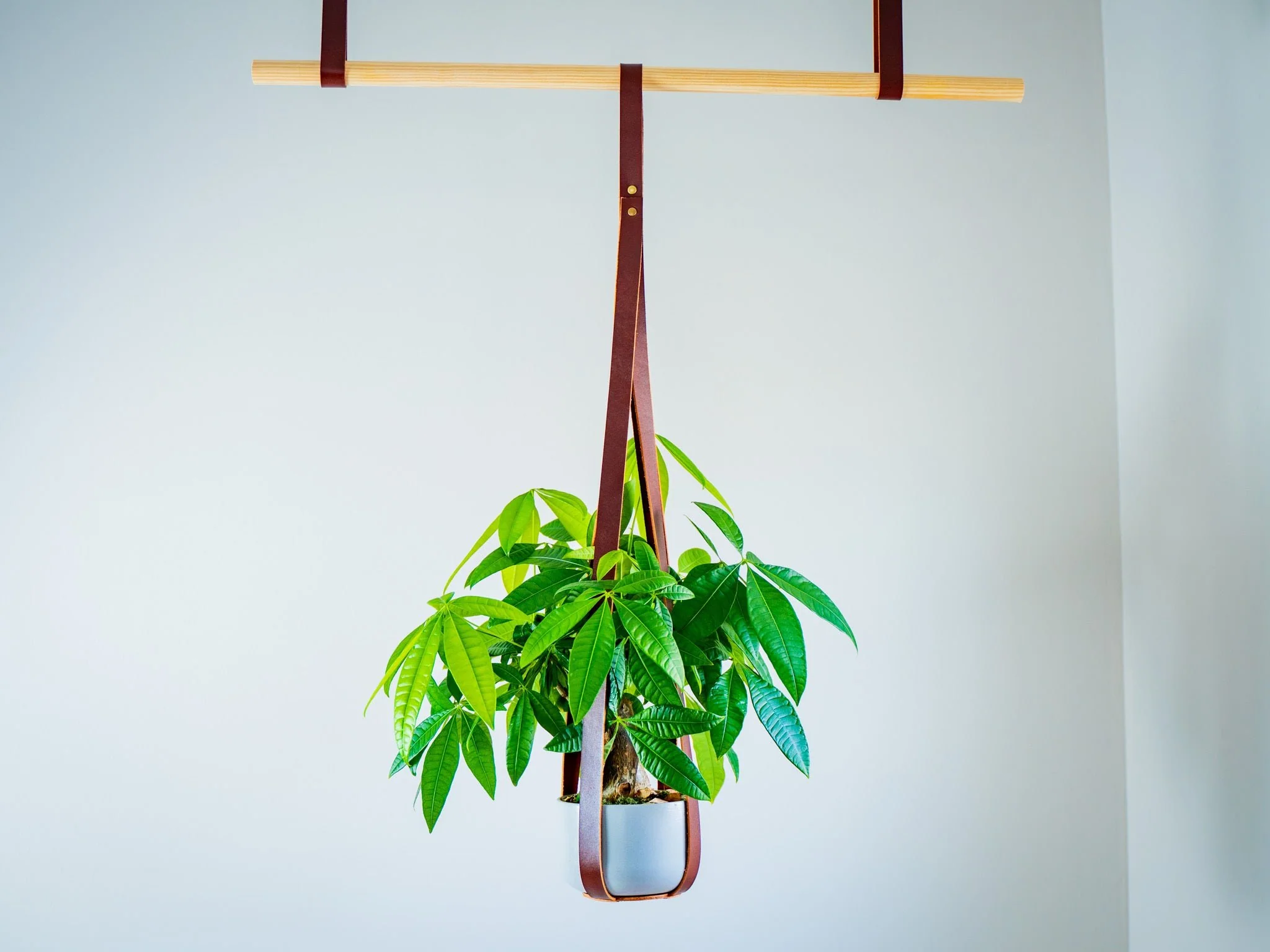 Leather Flower Pot Hanger - Chestnut - Image 4
