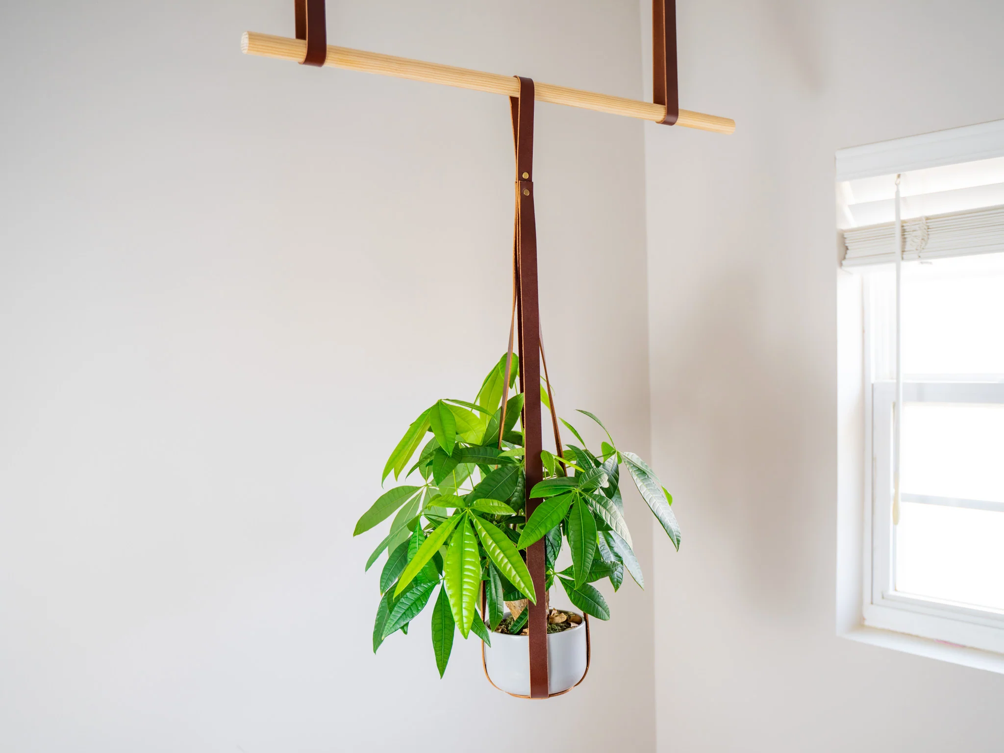 Leather Flower Pot Hanger - Chestnut - Image 5