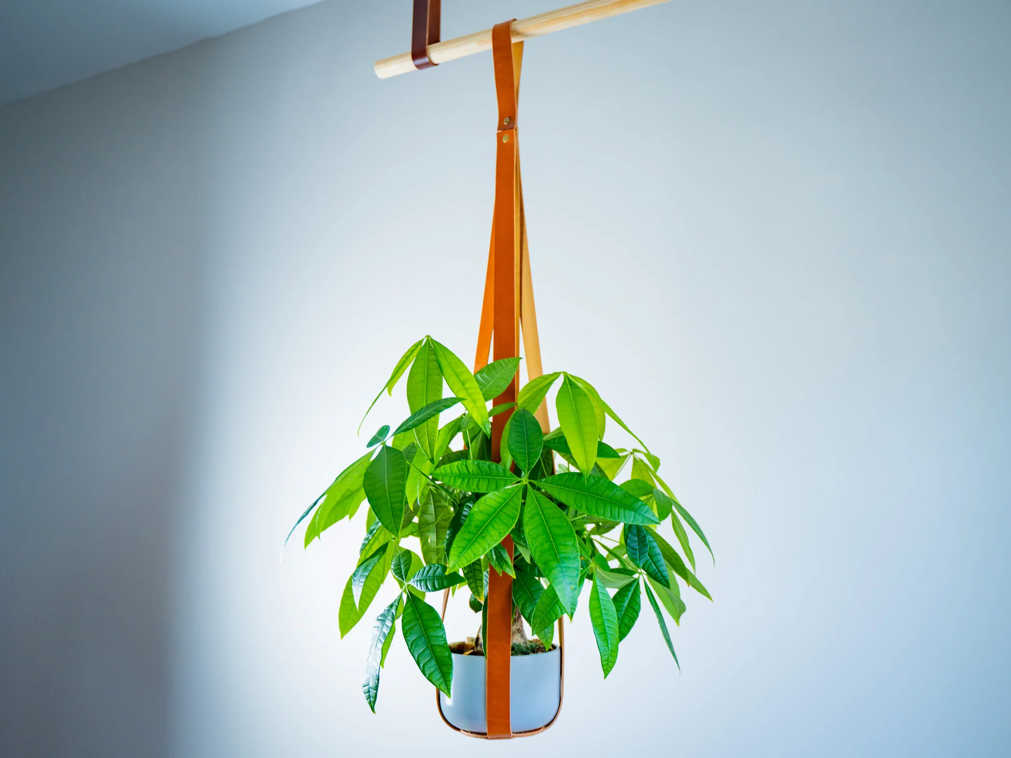 Leather Flower Pot Hanger - Natural - Image 2