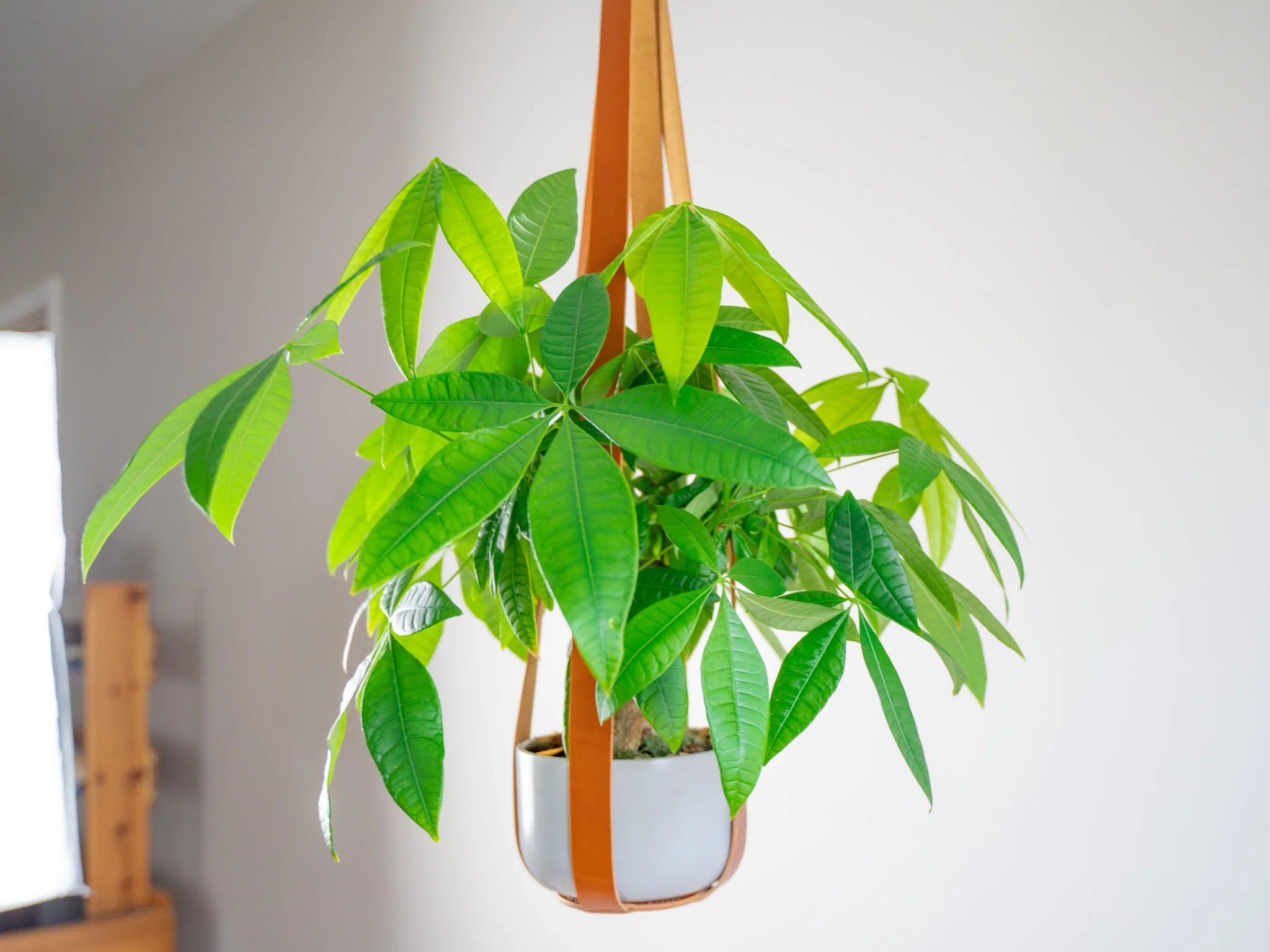 Leather Flower Pot Hanger - Natural - Image 3