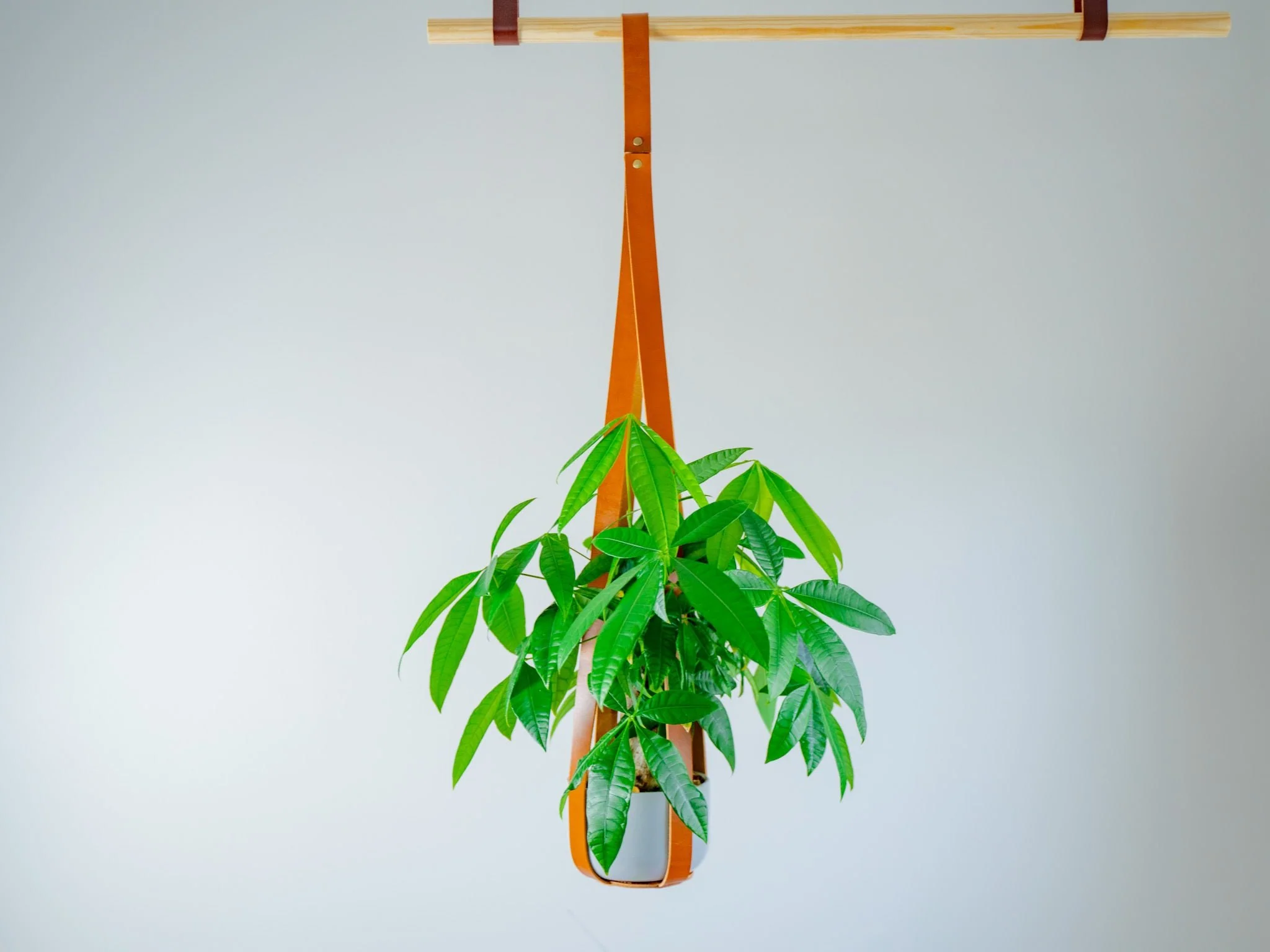 Leather Flower Pot Hanger - Natural - Image 4