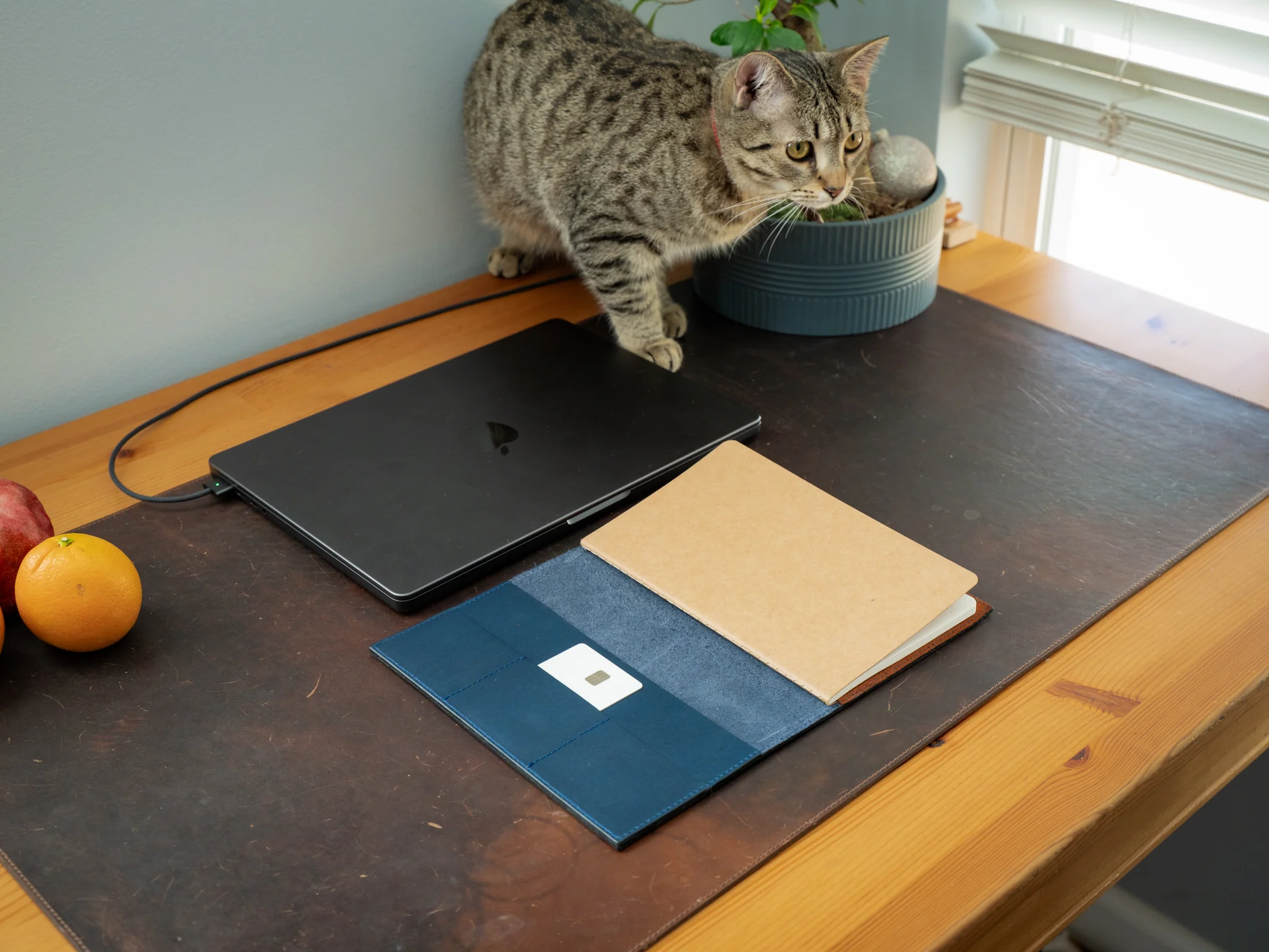 Leather Moleskine Journal Case - Navy - Image 5