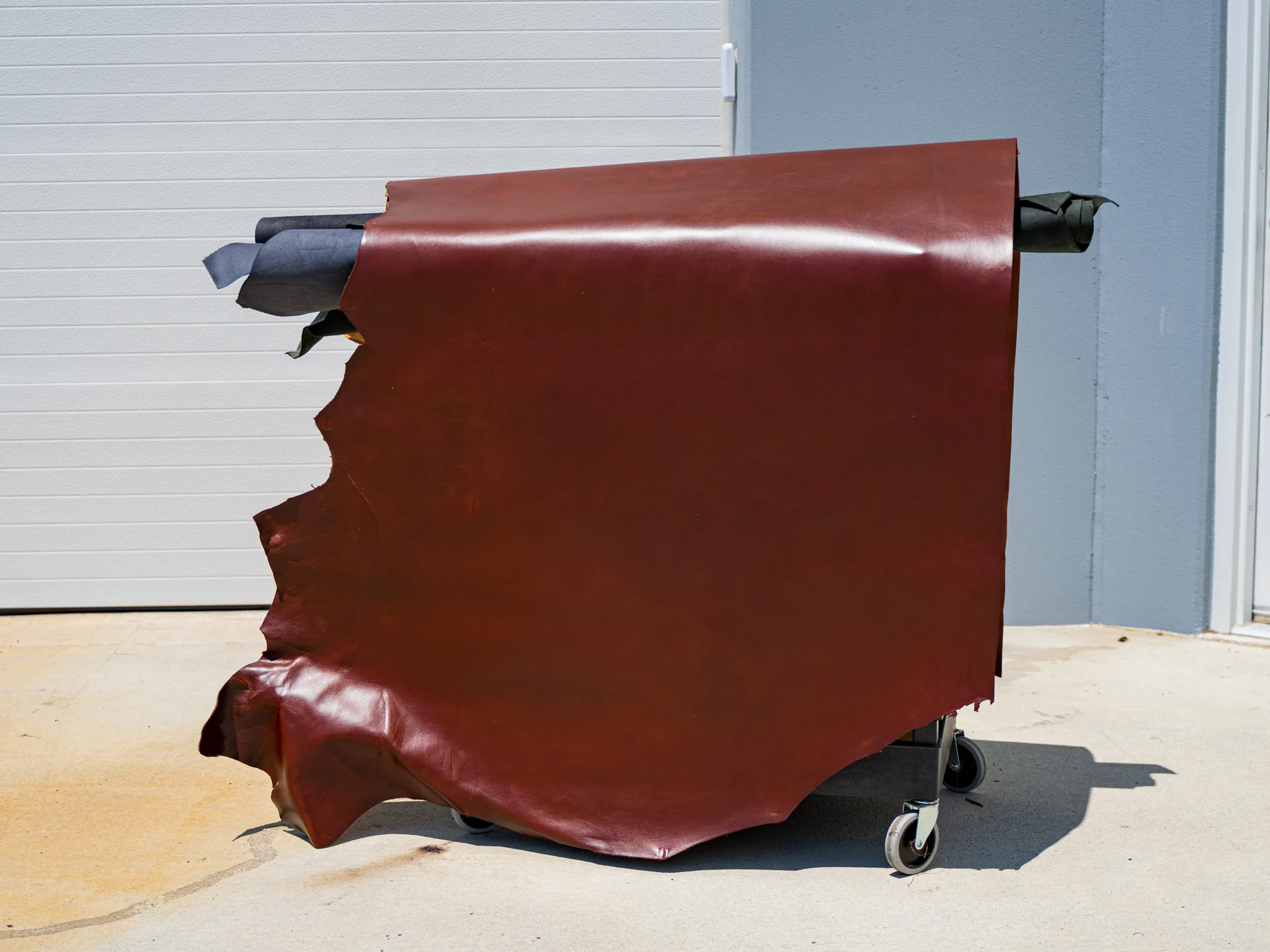 Mexican Leather Hide - Chestnut - Image 2