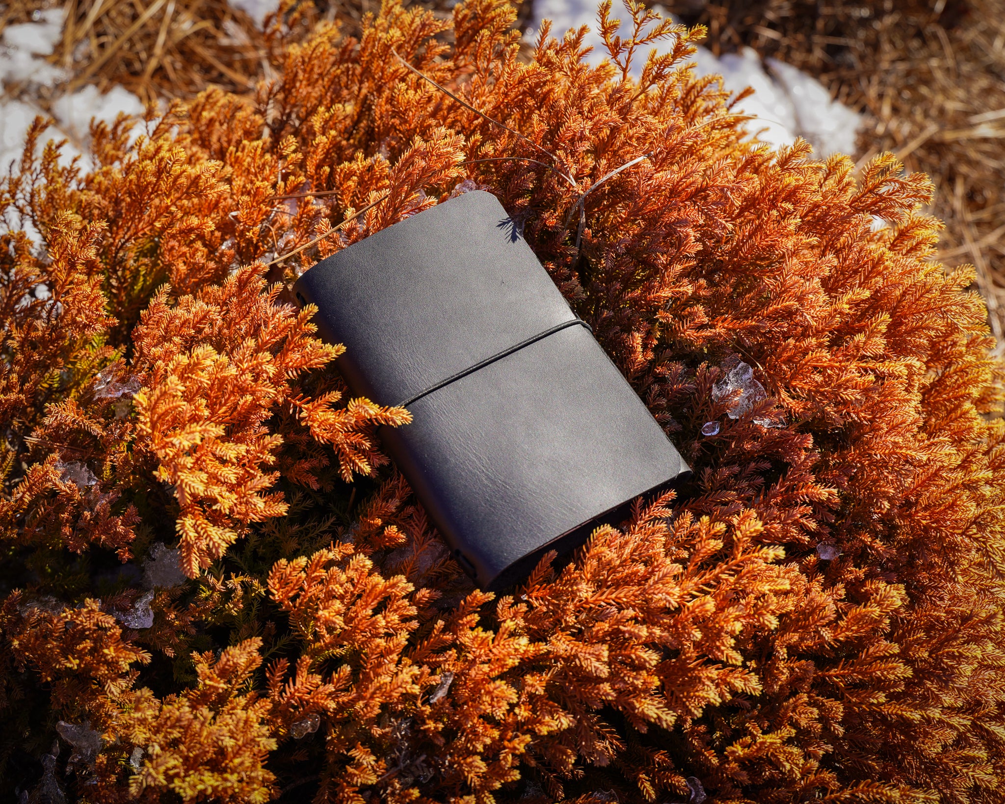 Milwaukee Leather Travel Journal - Black - Image 10