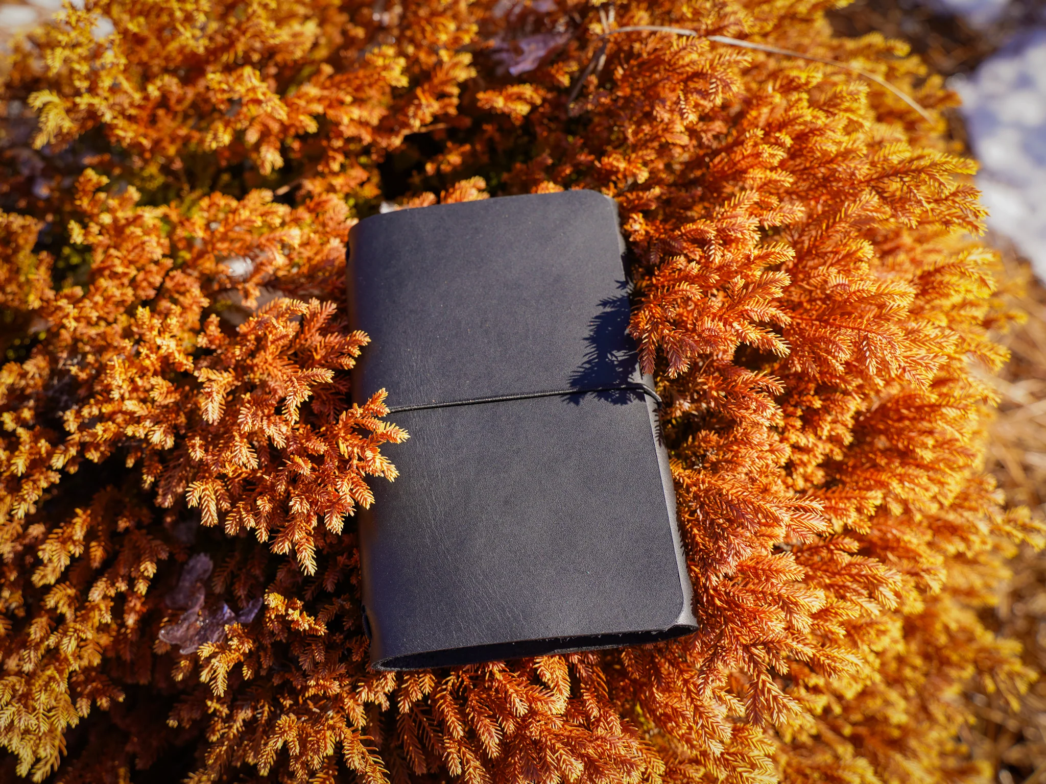 Milwaukee Leather Travel Journal - Black - Image 11