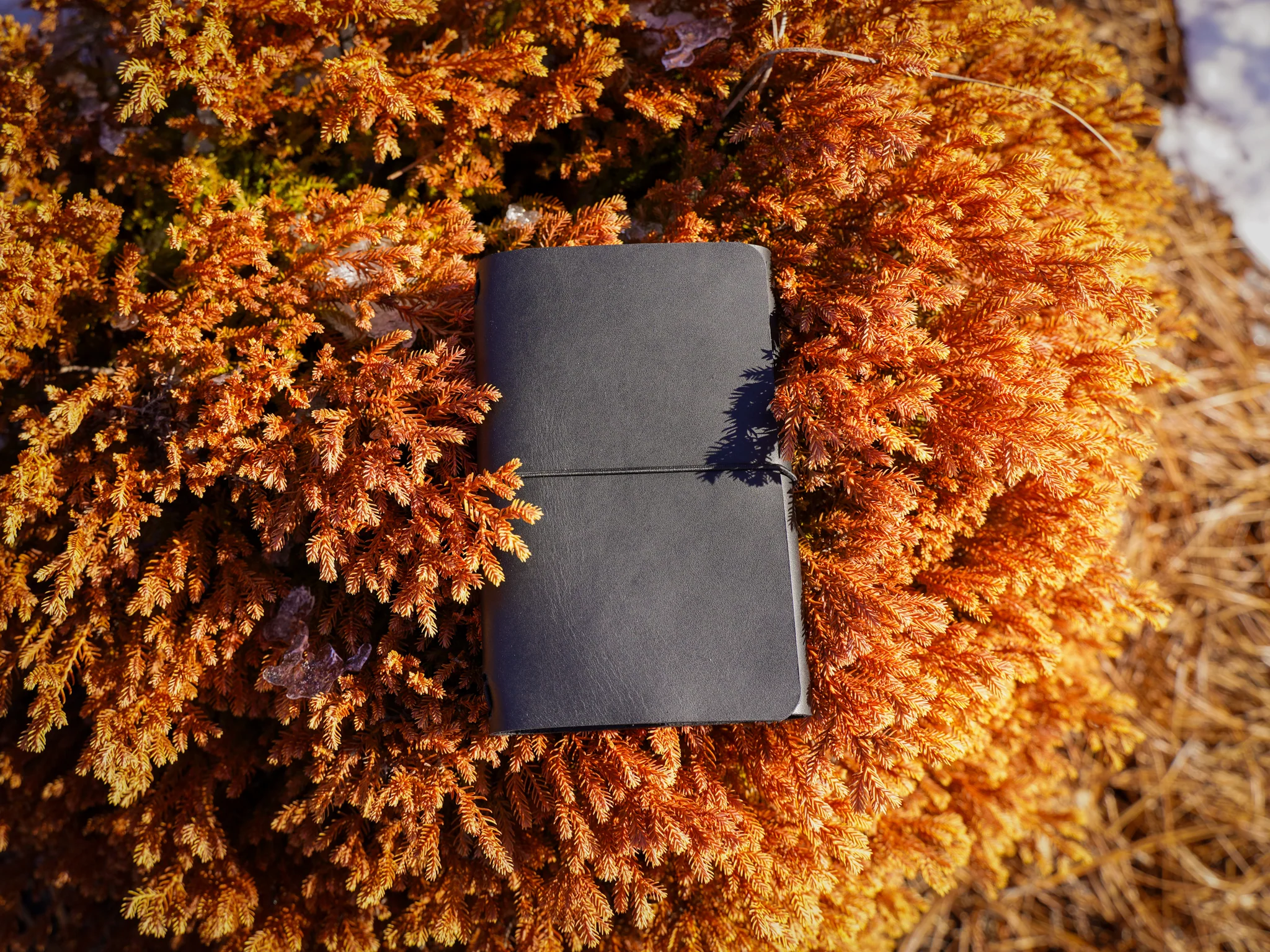 Milwaukee Leather Travel Journal - Black - Image 12