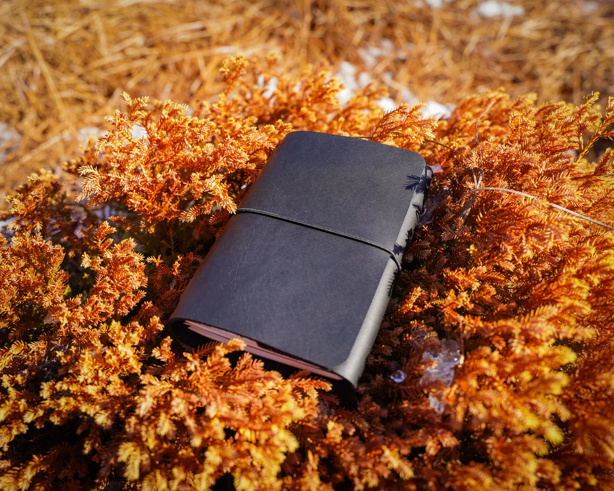 Milwaukee Leather Travel Journal - Black - Image 9