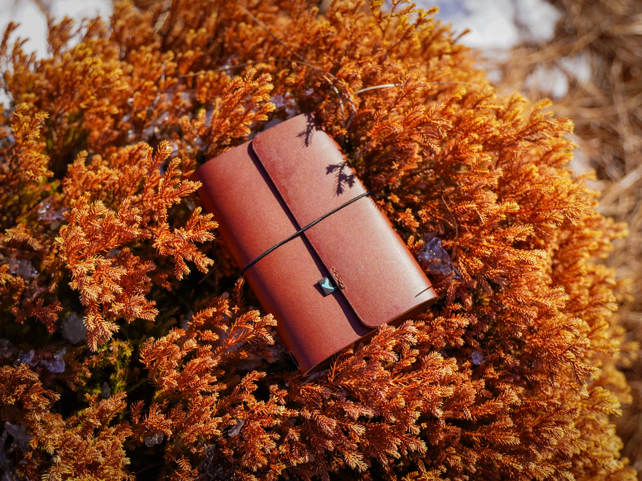 Milwaukee Leather Travel Journal - Latigo Espresso - Image 2