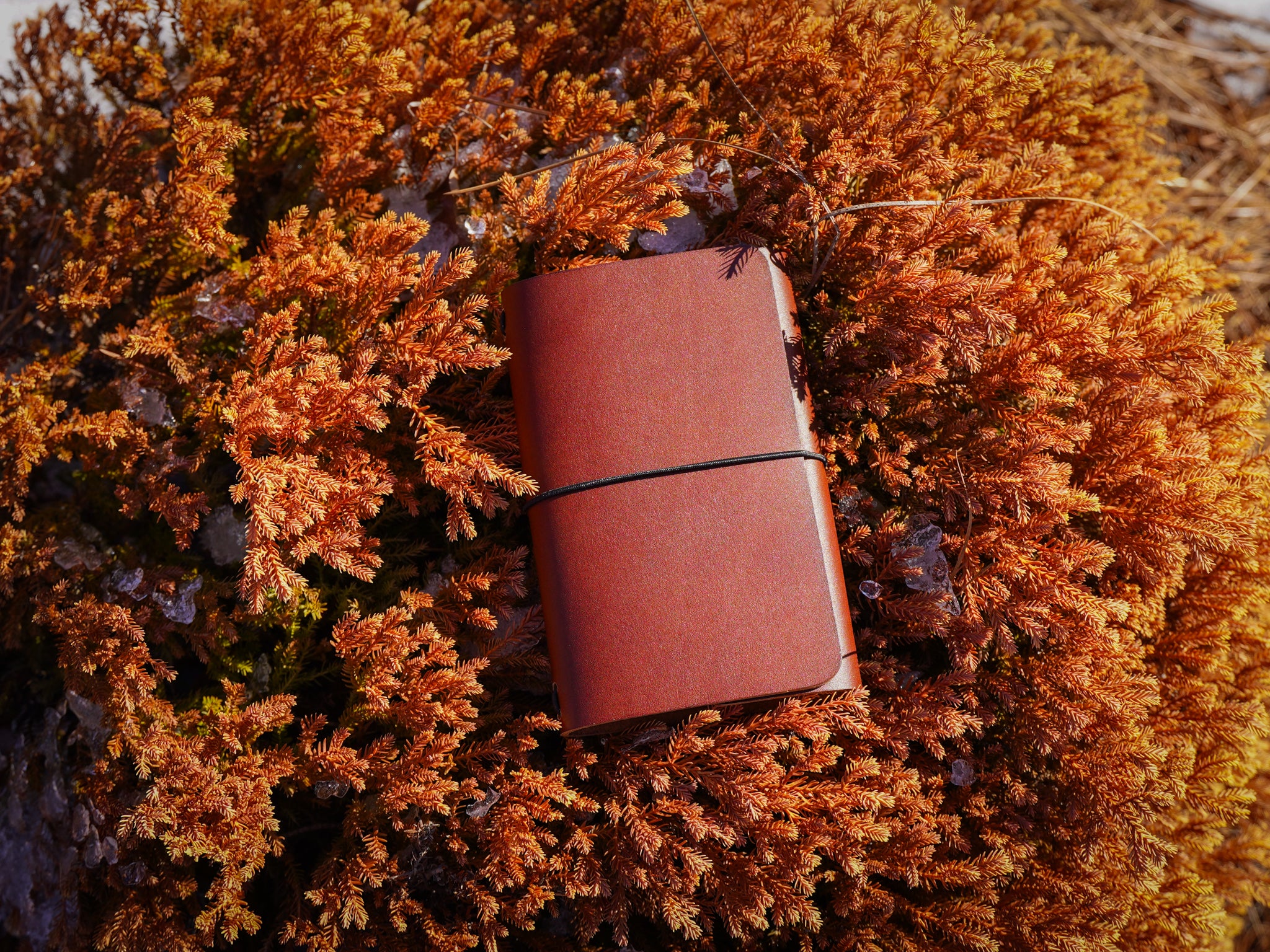 Milwaukee Leather Travel Journal - Latigo Espresso - Image 8