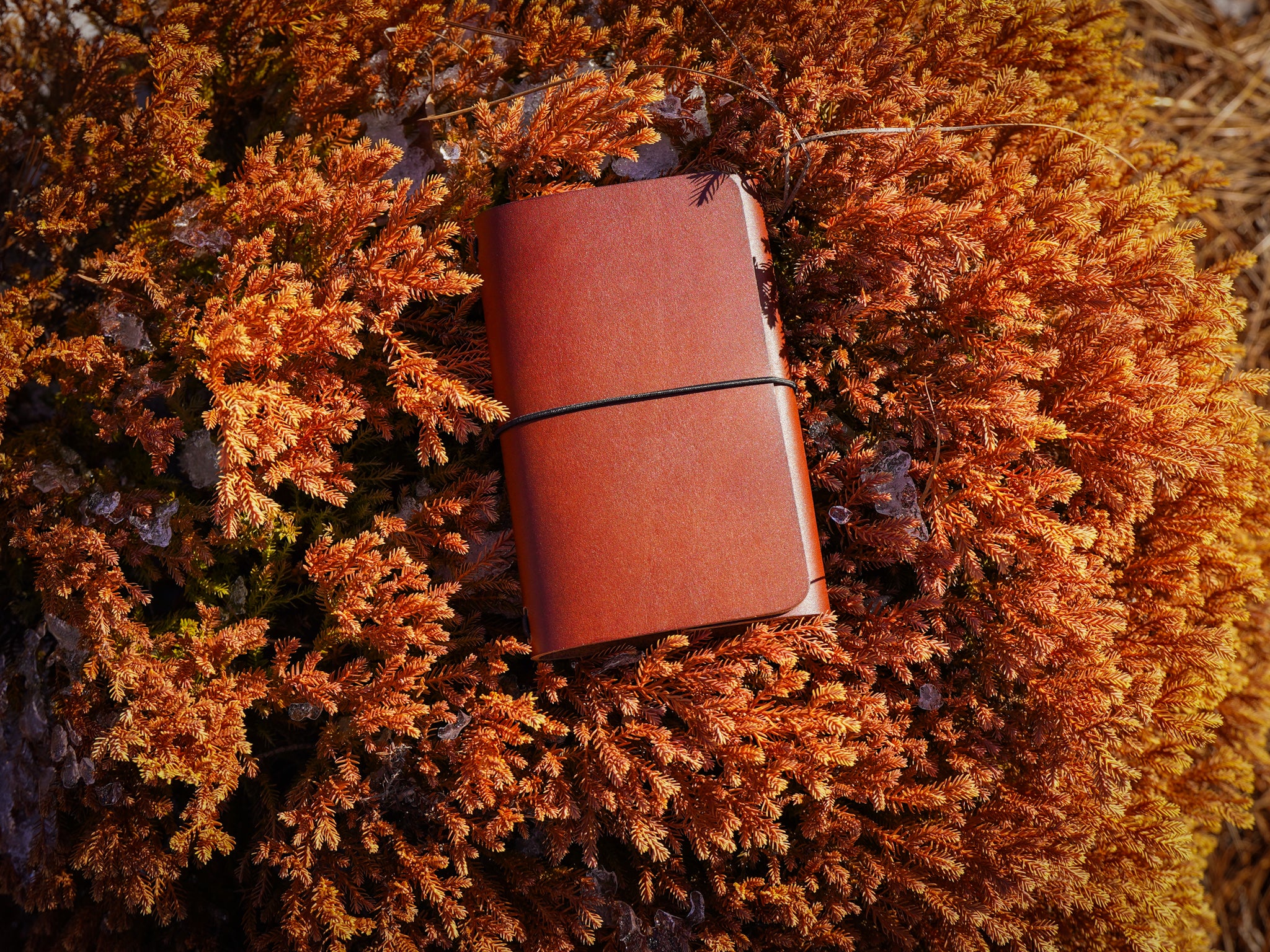 Milwaukee Leather Travel Journal - Latigo Espresso - Image 9
