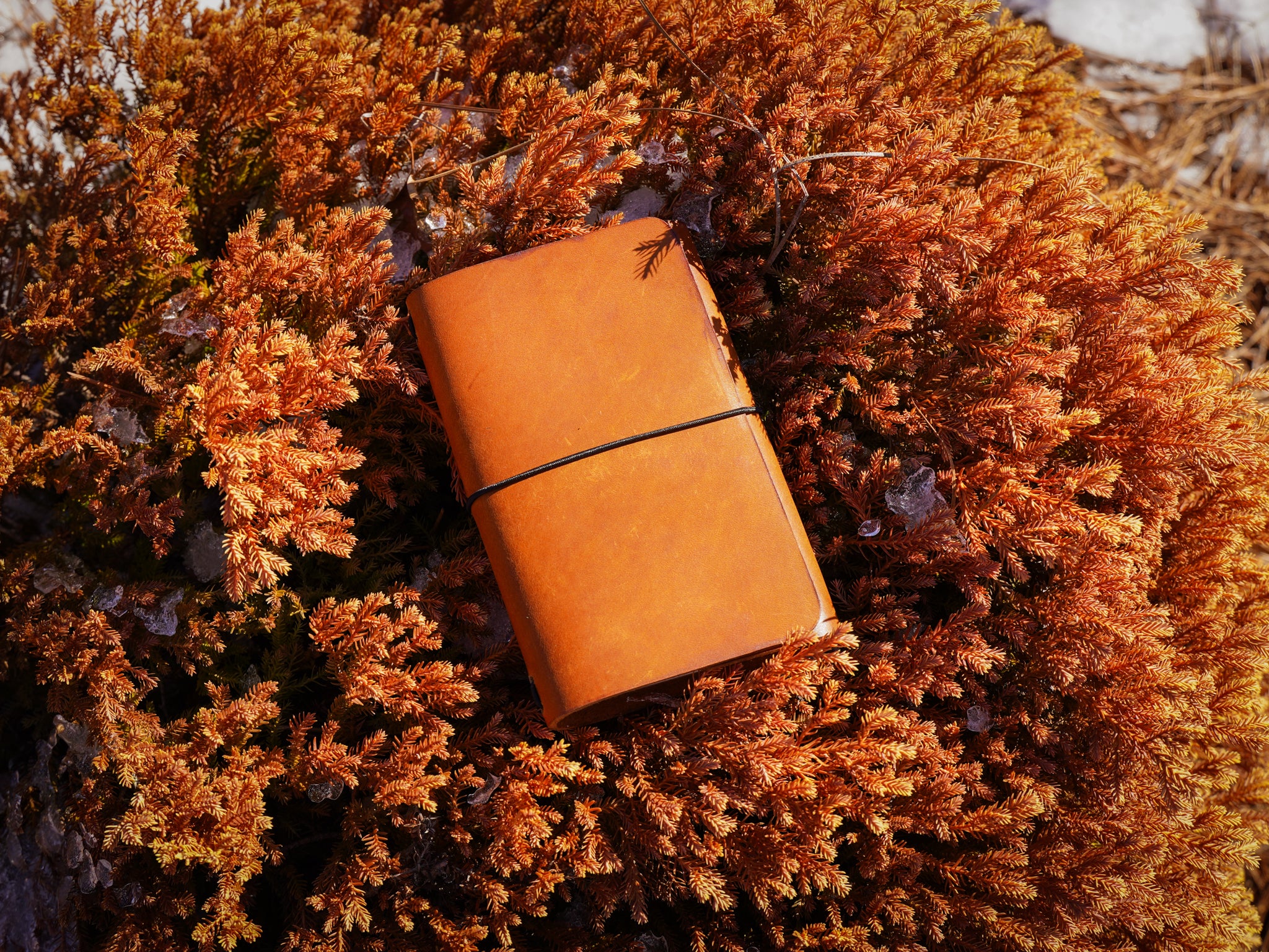 Milwaukee Leather Travel Journal - Natural - Image 10