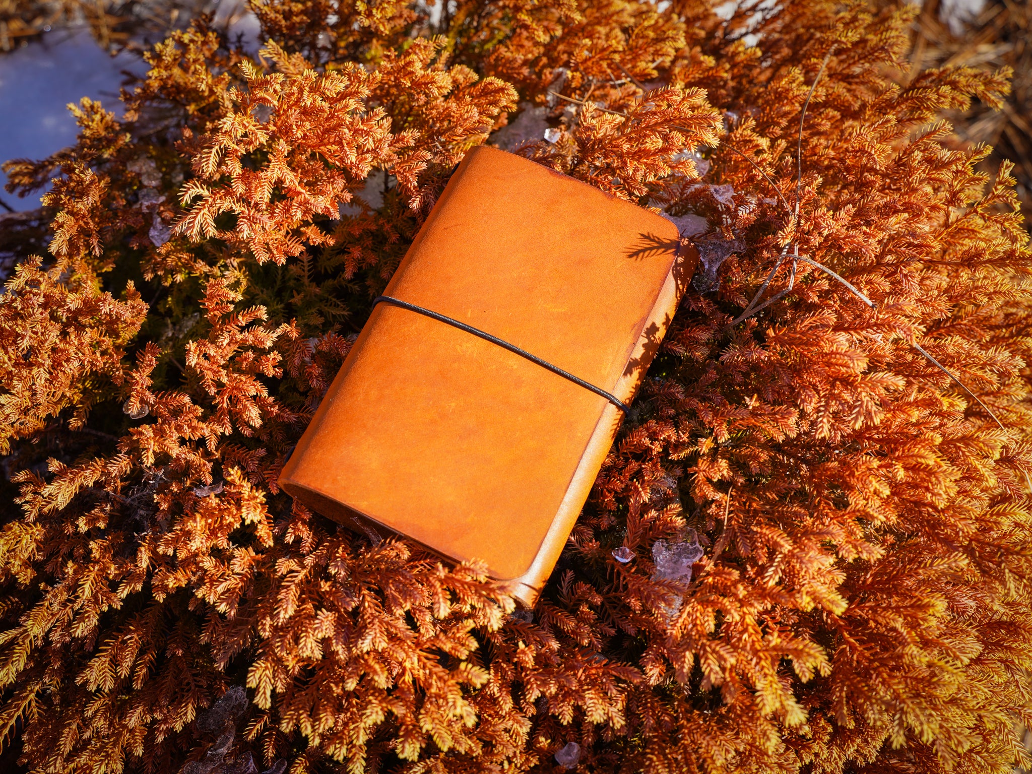 Milwaukee Leather Travel Journal - Natural - Image 11