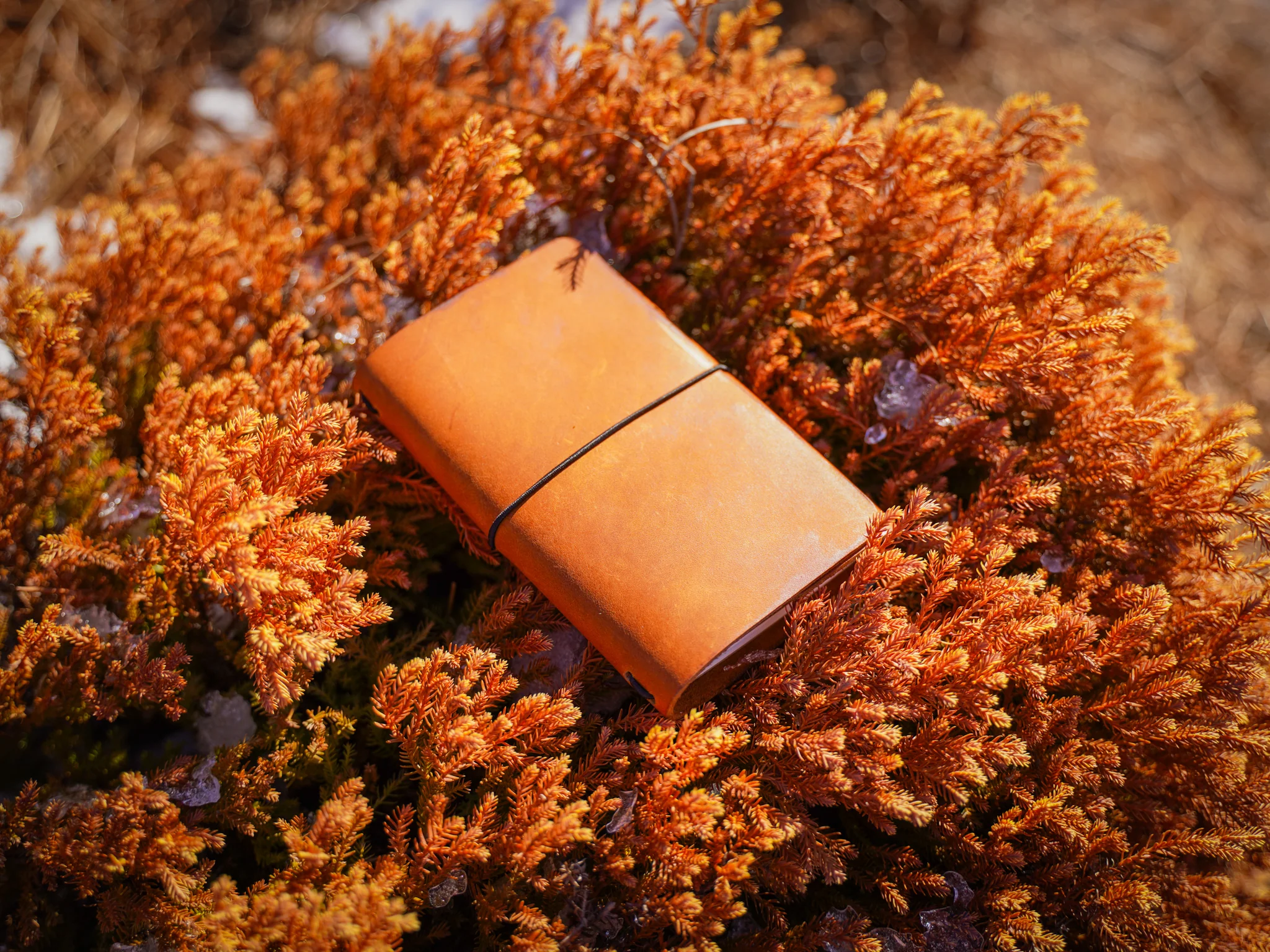 Milwaukee Leather Travel Journal - Natural - Image 12