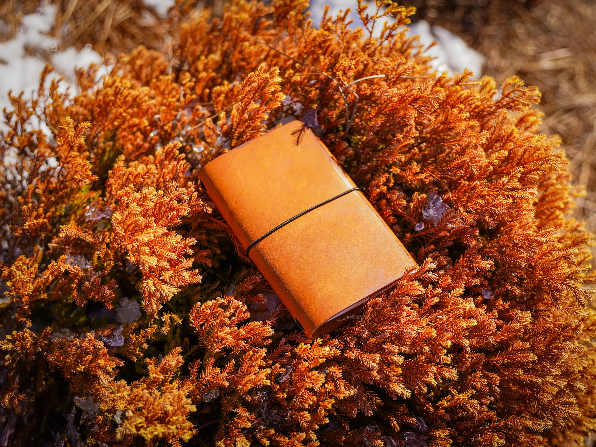 Milwaukee Leather Travel Journal - Natural - Image 13