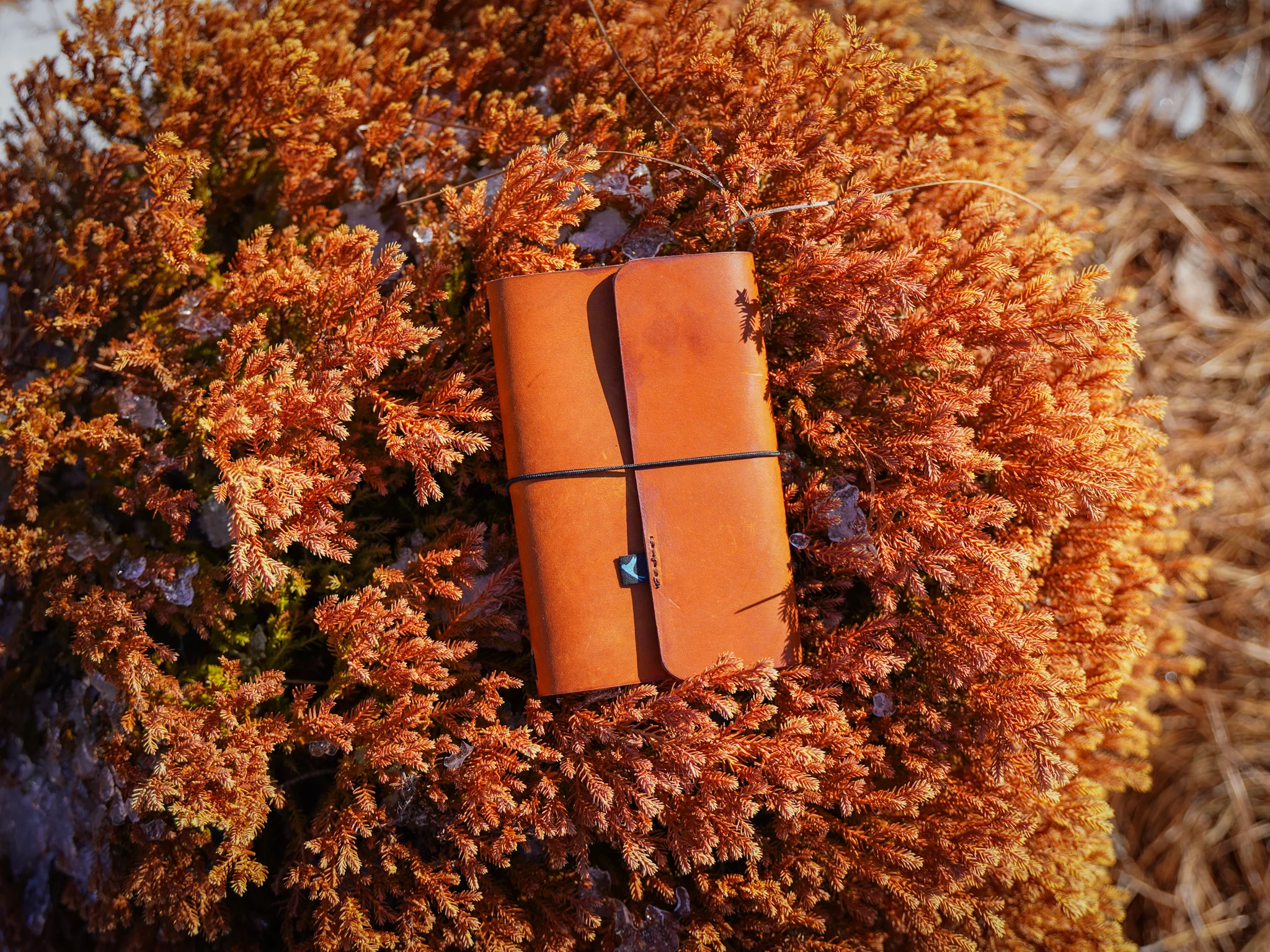 Milwaukee Leather Travel Journal - Natural - Image 2