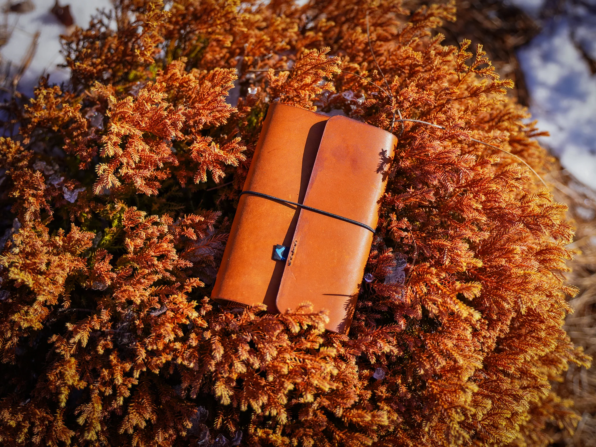 Milwaukee Leather Travel Journal - Natural - Image 4