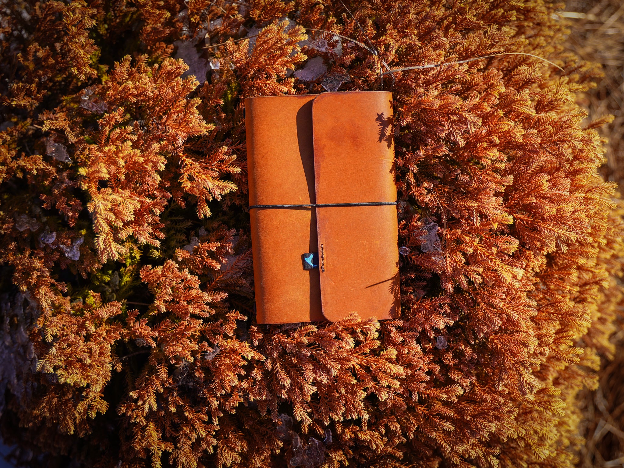 Milwaukee Leather Travel Journal - Natural - Image 6