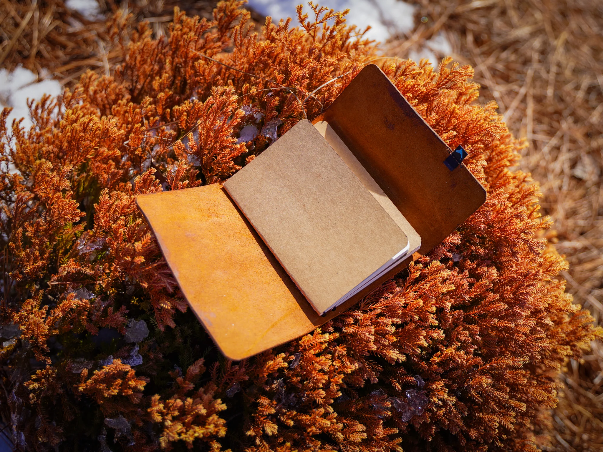 Milwaukee Leather Travel Journal - Natural - Image 7