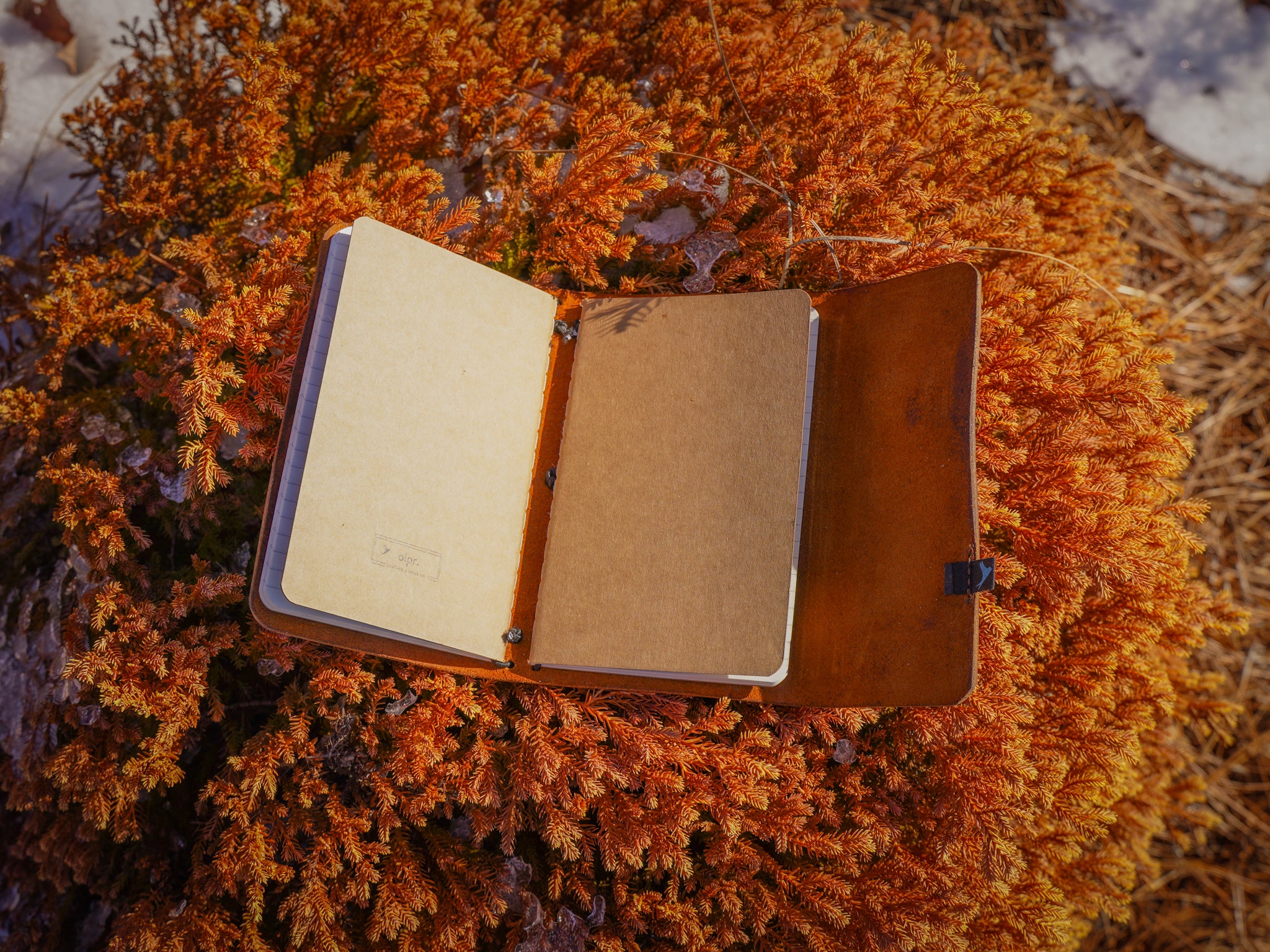 Milwaukee Leather Travel Journal - Natural - Image 9