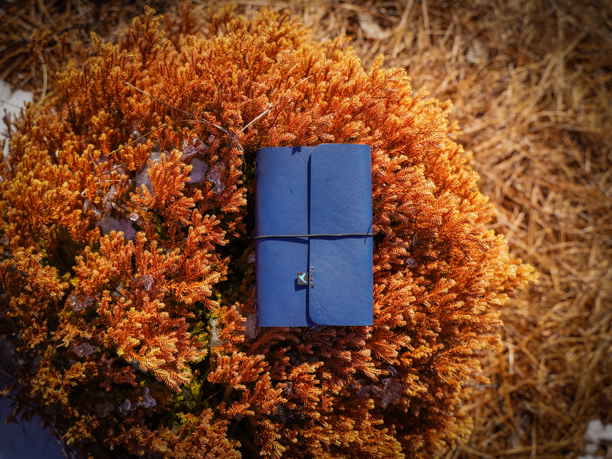 Milwaukee Leather Travel Journal - Navy - Image 2
