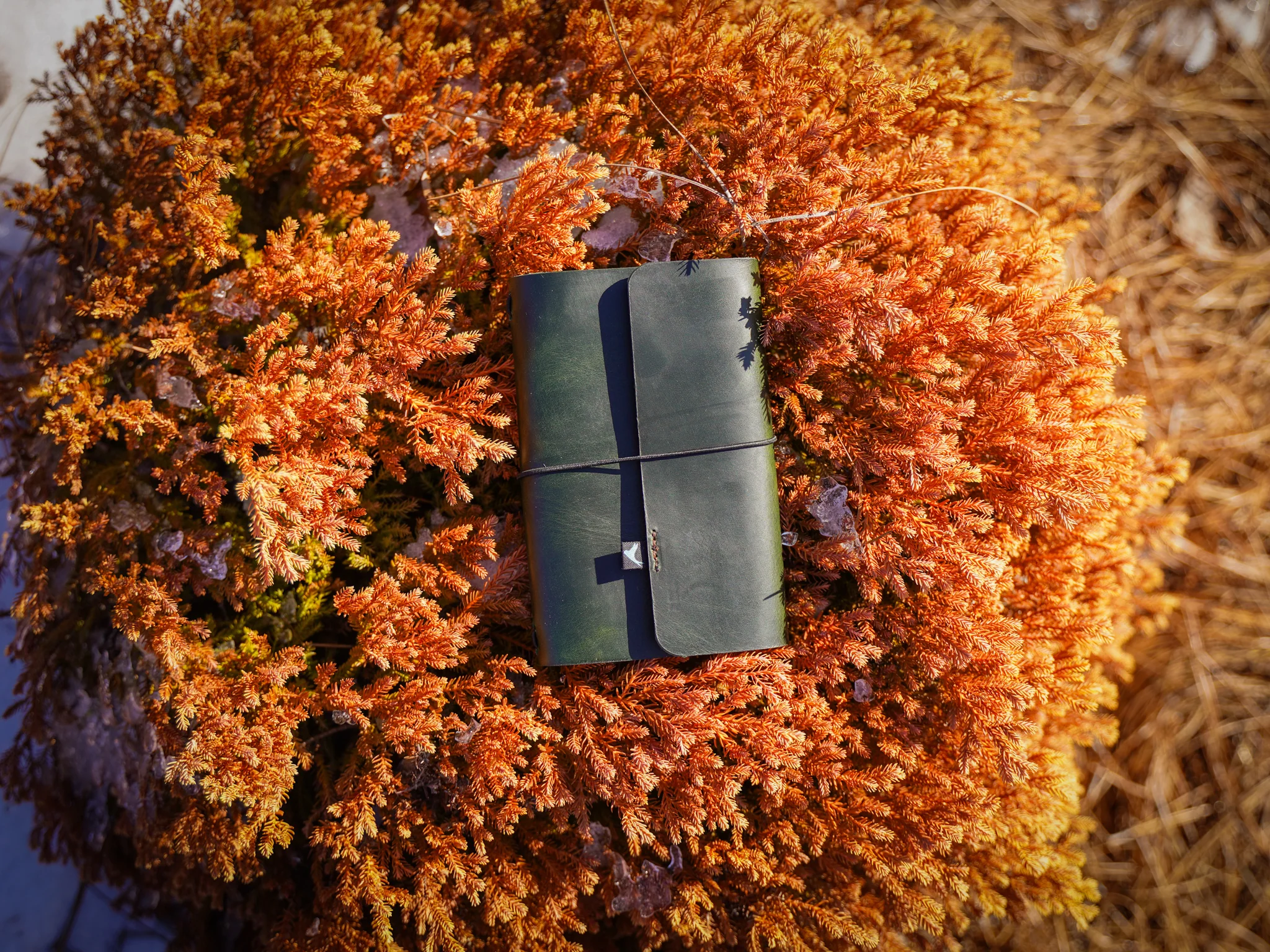 Milwaukee Leather Travel Journal - Olive - Image 2
