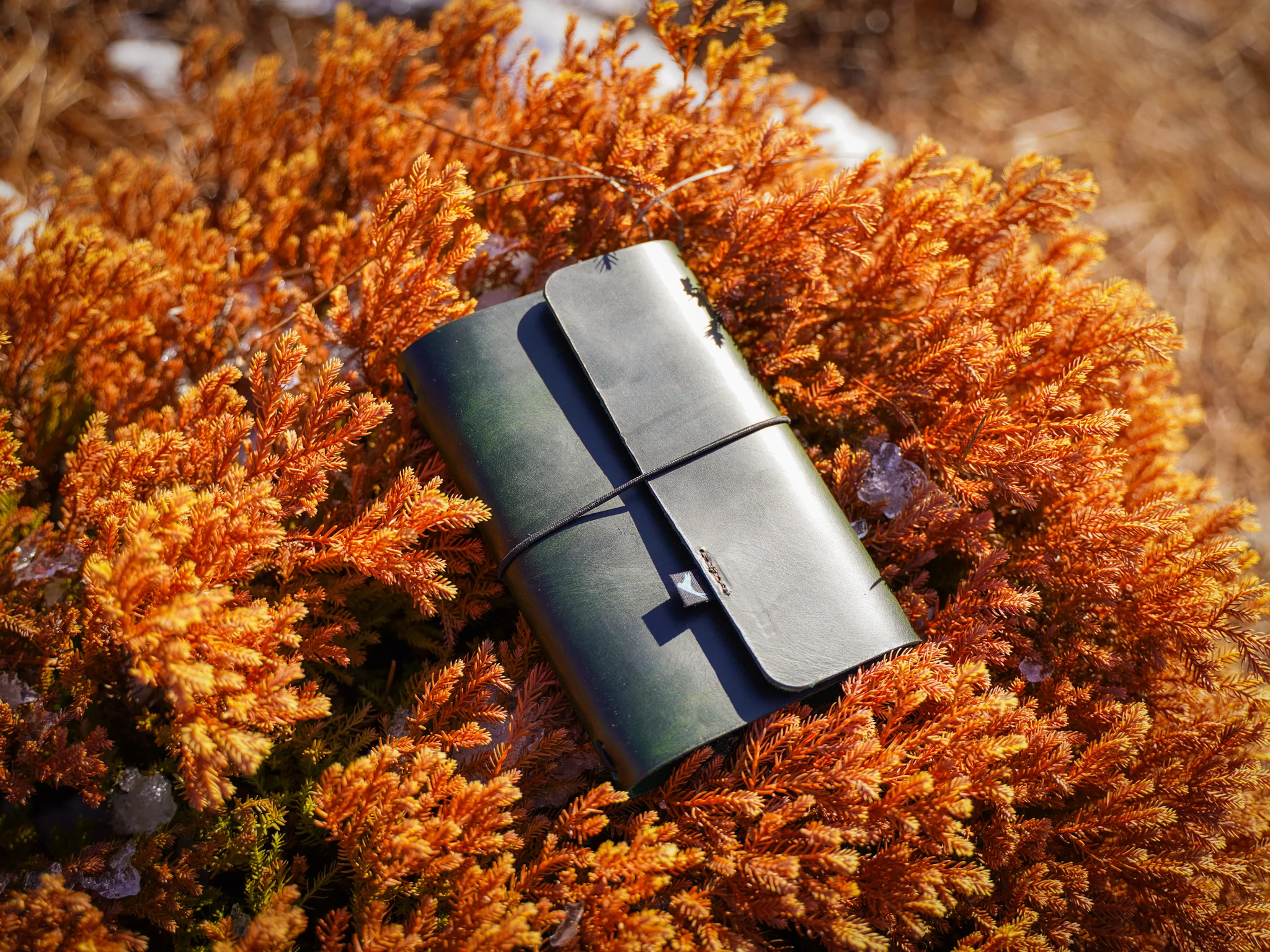 Milwaukee Leather Travel Journal - Olive - Image 3