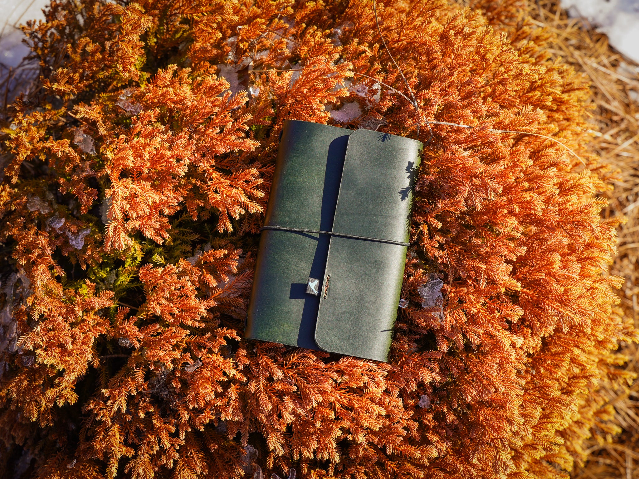 Milwaukee Leather Travel Journal - Olive - Image 5