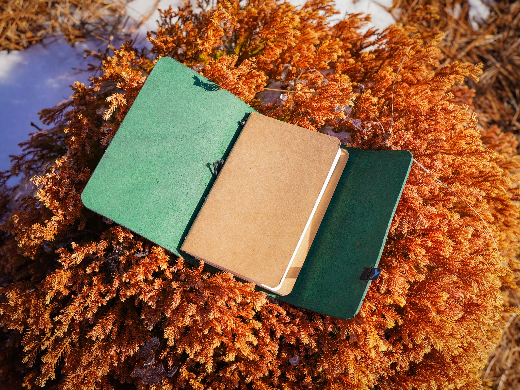 Milwaukee Leather Travel Journal - Olive - Image 8