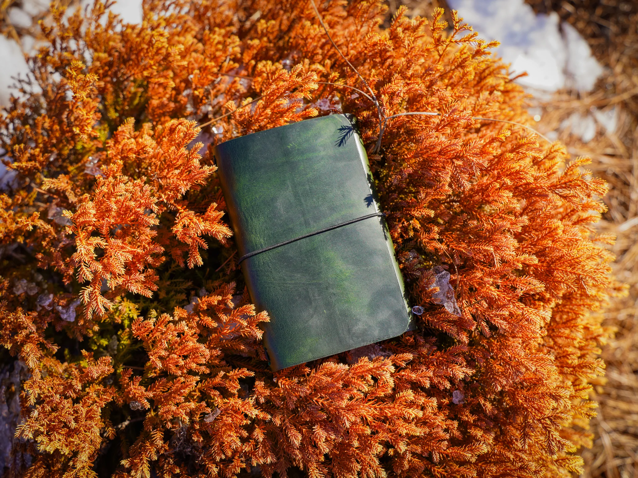 Milwaukee Leather Travel Journal - Olive - Image 9