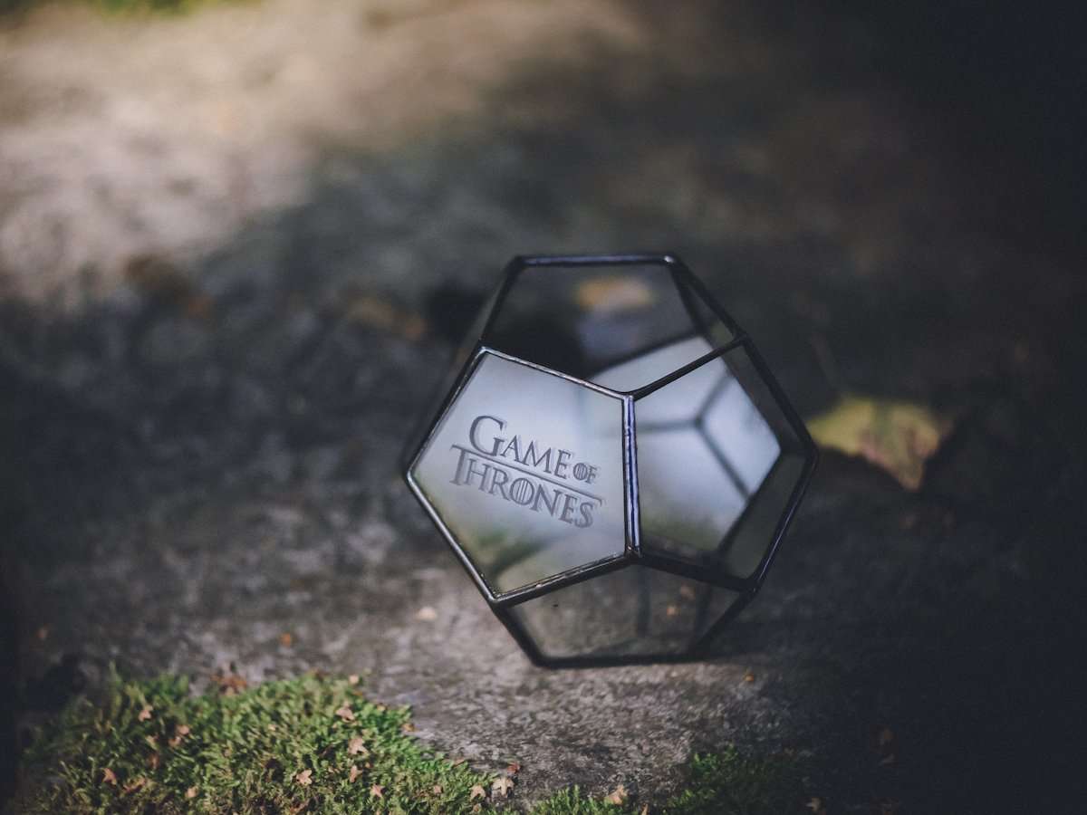 Geometric Terrarium Dodecahedron Mini - Image 2