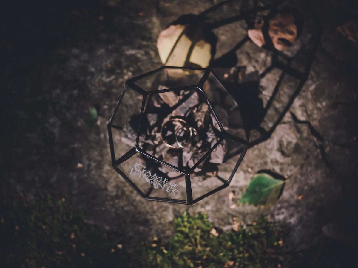 Geometric Terrarium Dodecahedron Mini - Image 3