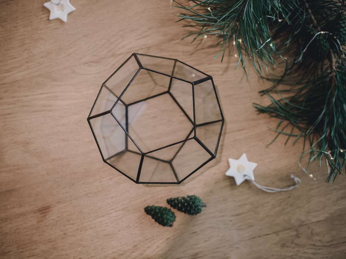 Geometric Terrarium Dodecahedron Small - Image 3