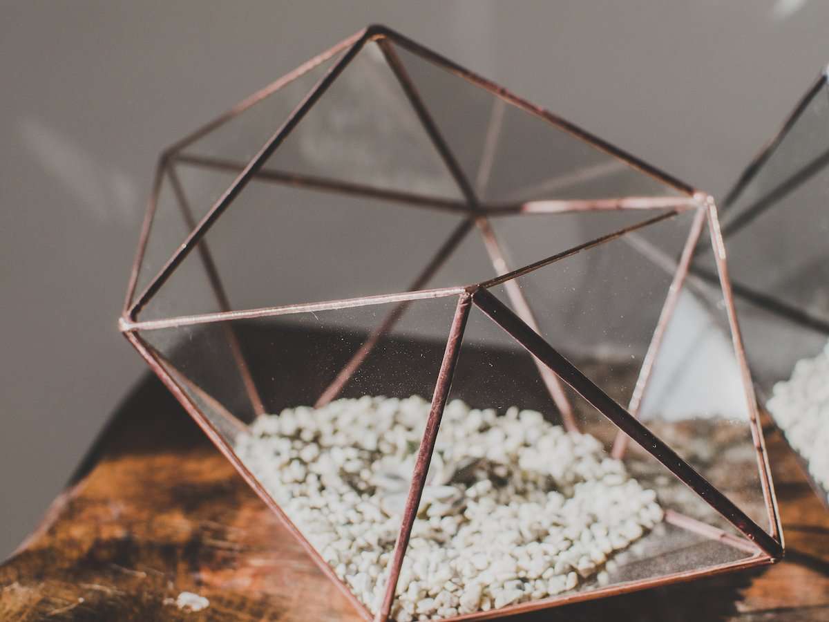 Small Glass Strange Shape Terrarium - Image 3
